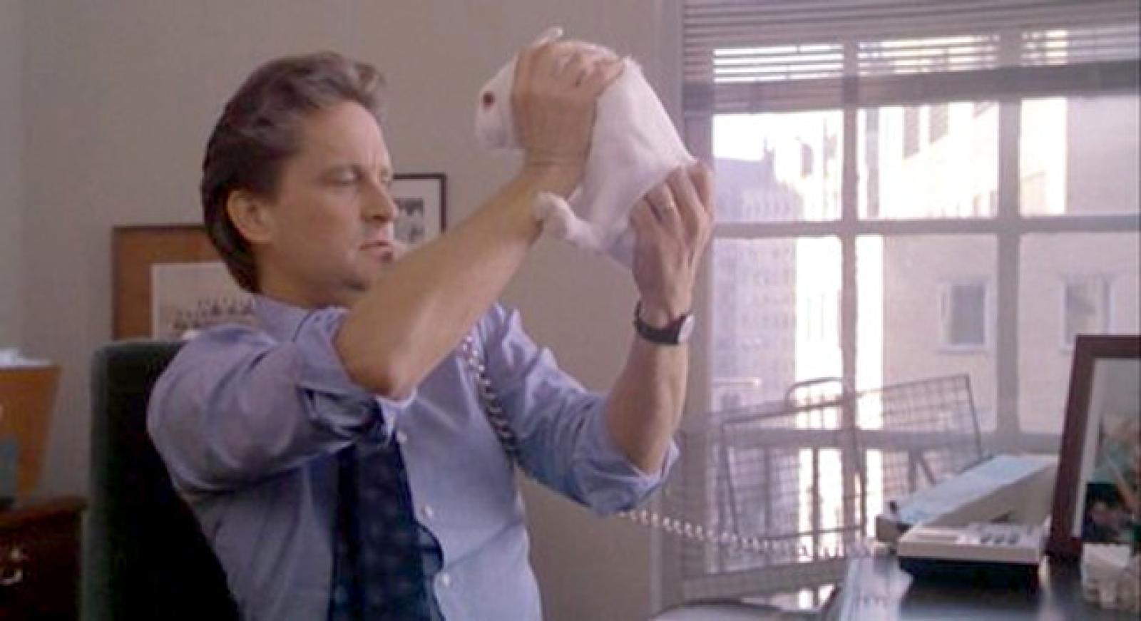 Conigli: Compagni Ideali per la Vita Moderna