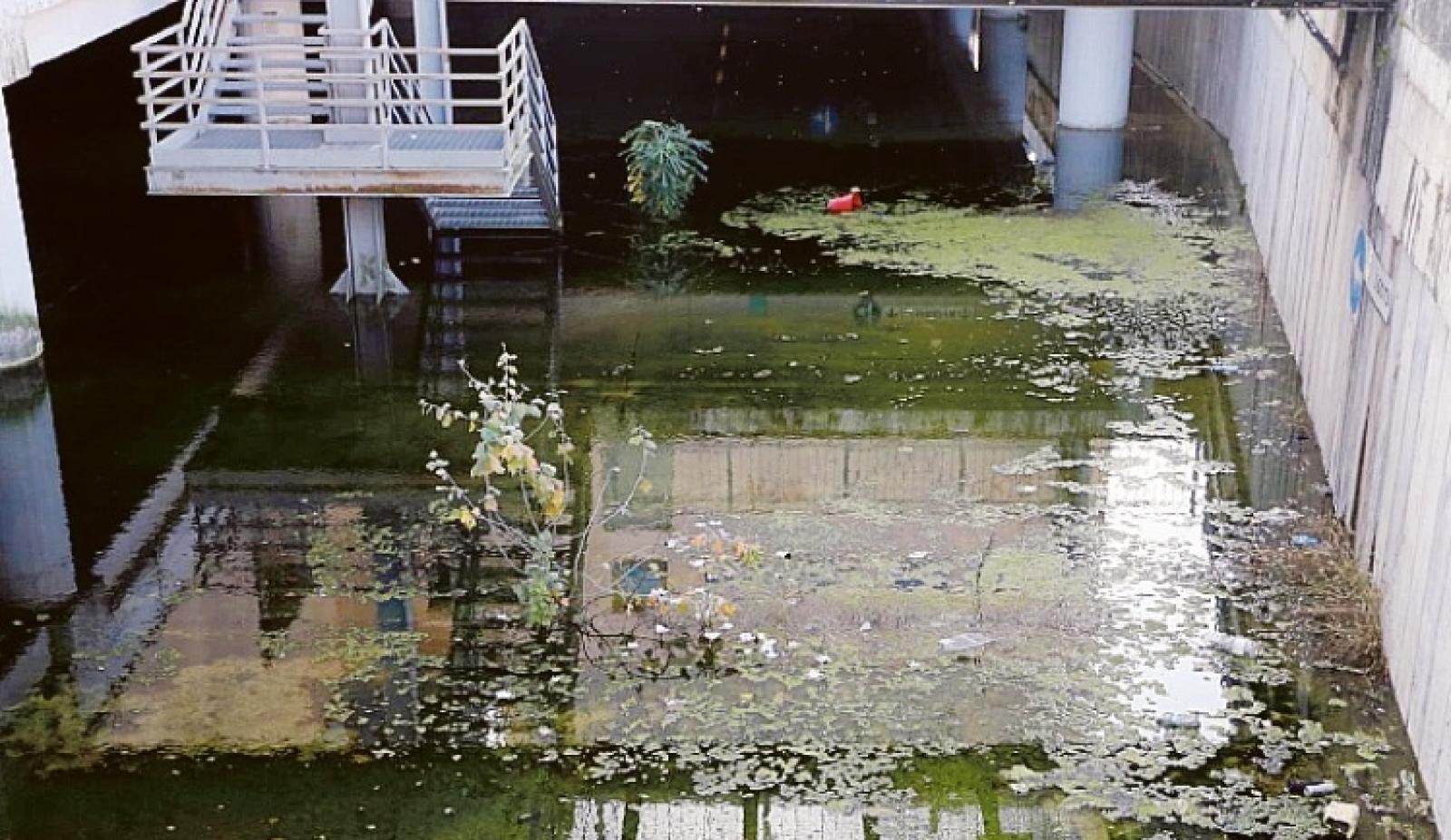 Acquitrino alle Torri ma per la bonifica bisogner&agrave; aspettare