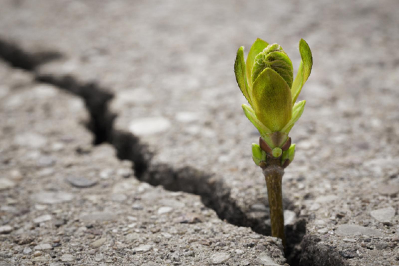 Il consumo di suolo non si ferma