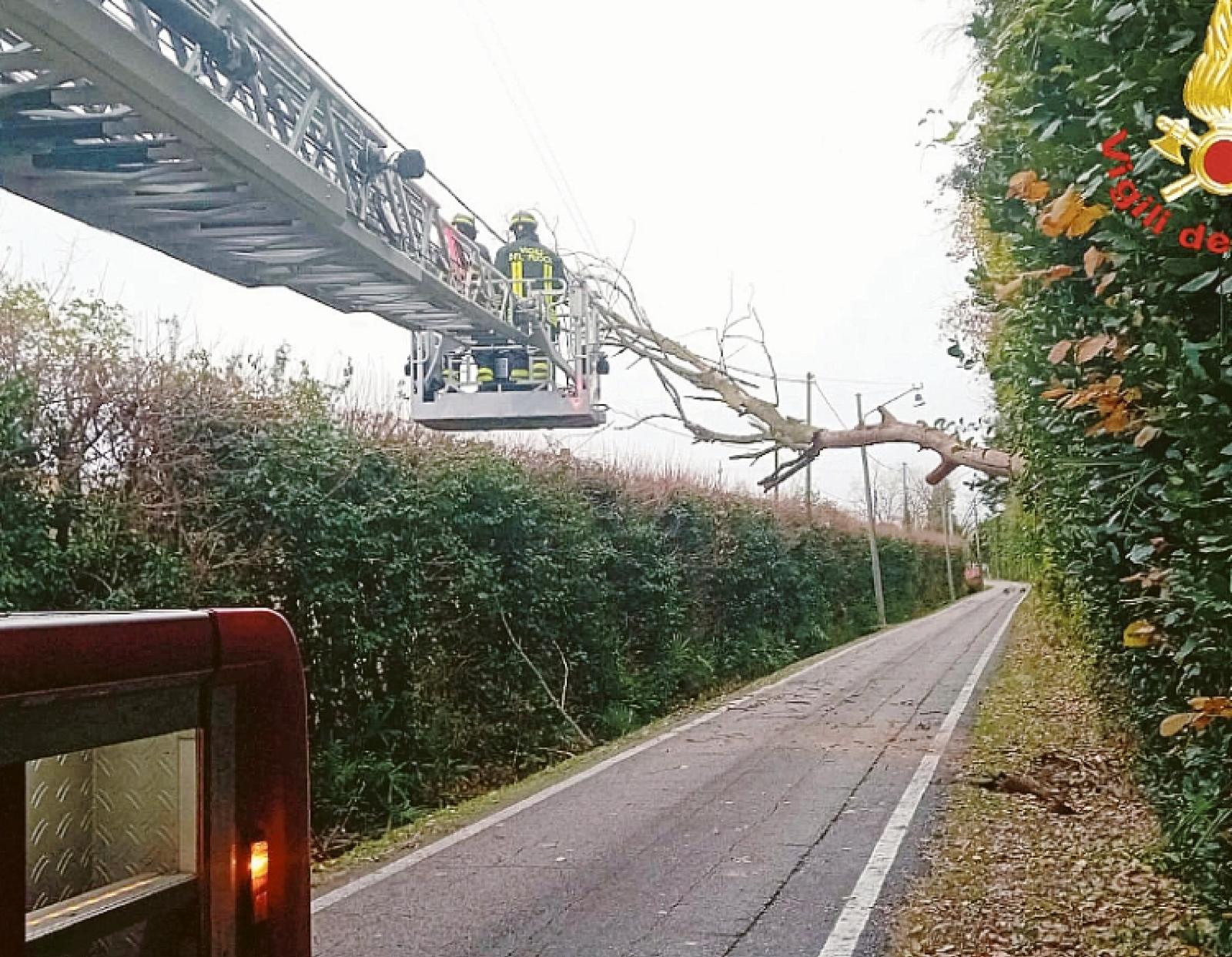 Alberi caduti, allagamenti e disagi