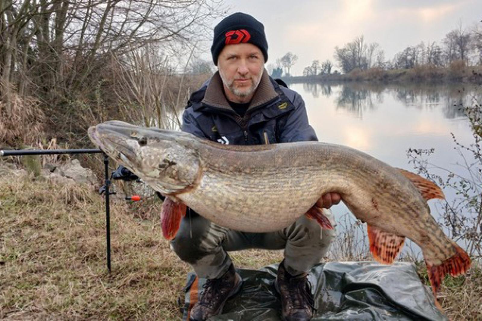 Luccio da record nel Sile: il segreto di Emanuele, il pescatore che ha catturato un mostro da 18,5 chili
