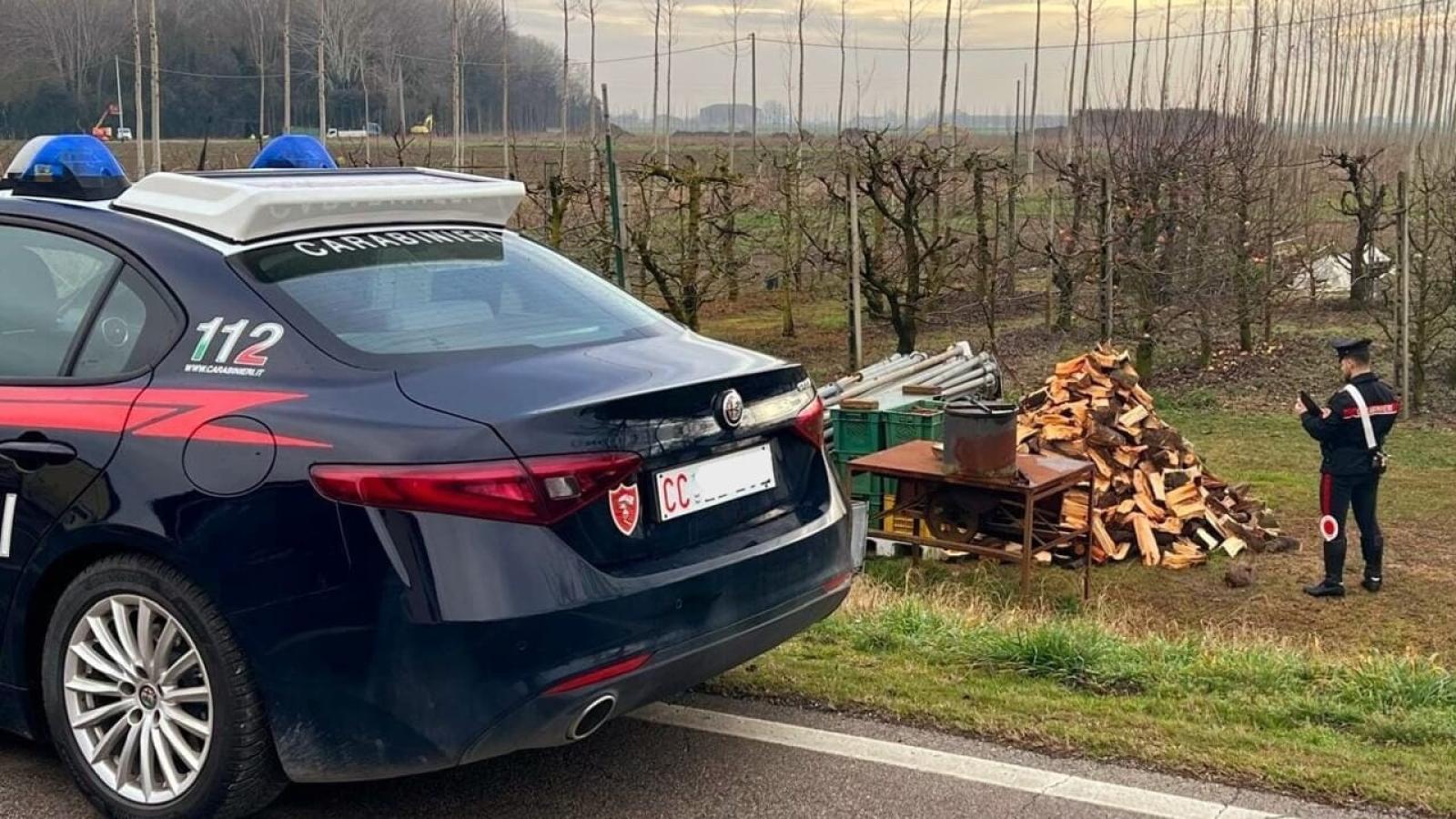Il ladro resta impantanato, scoperto e denunciato