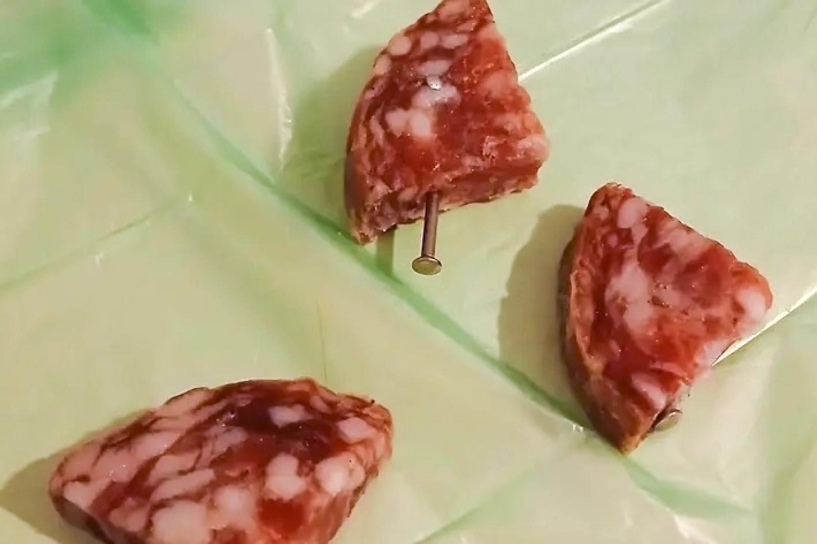 Allarme ad Abano Terme: bocconi avvelenati e tensioni tra residenti