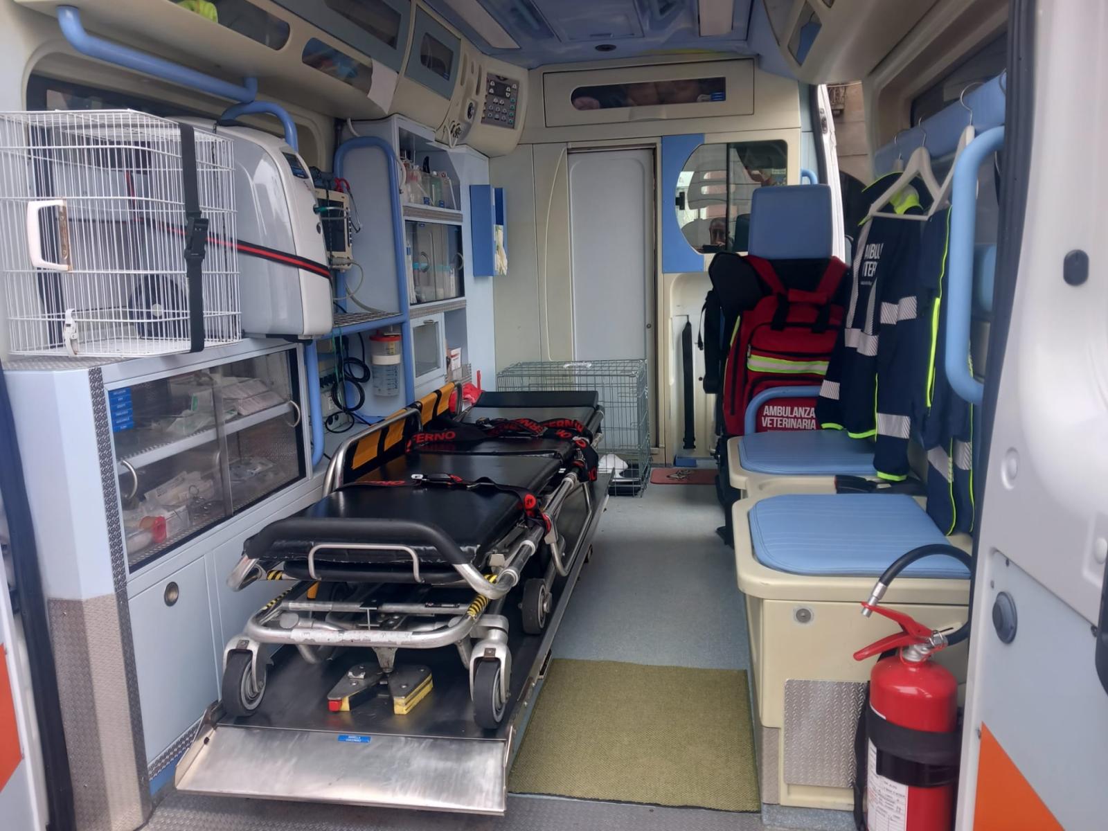 "Non mi sento bene", insegnante muore prima della gita