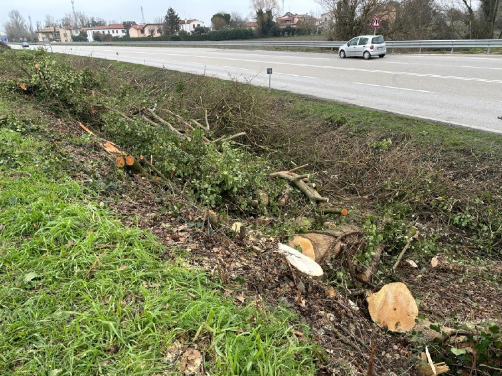 Alberi abbattuti: &ldquo;Ci difendevano da rumore e smog&rdquo;