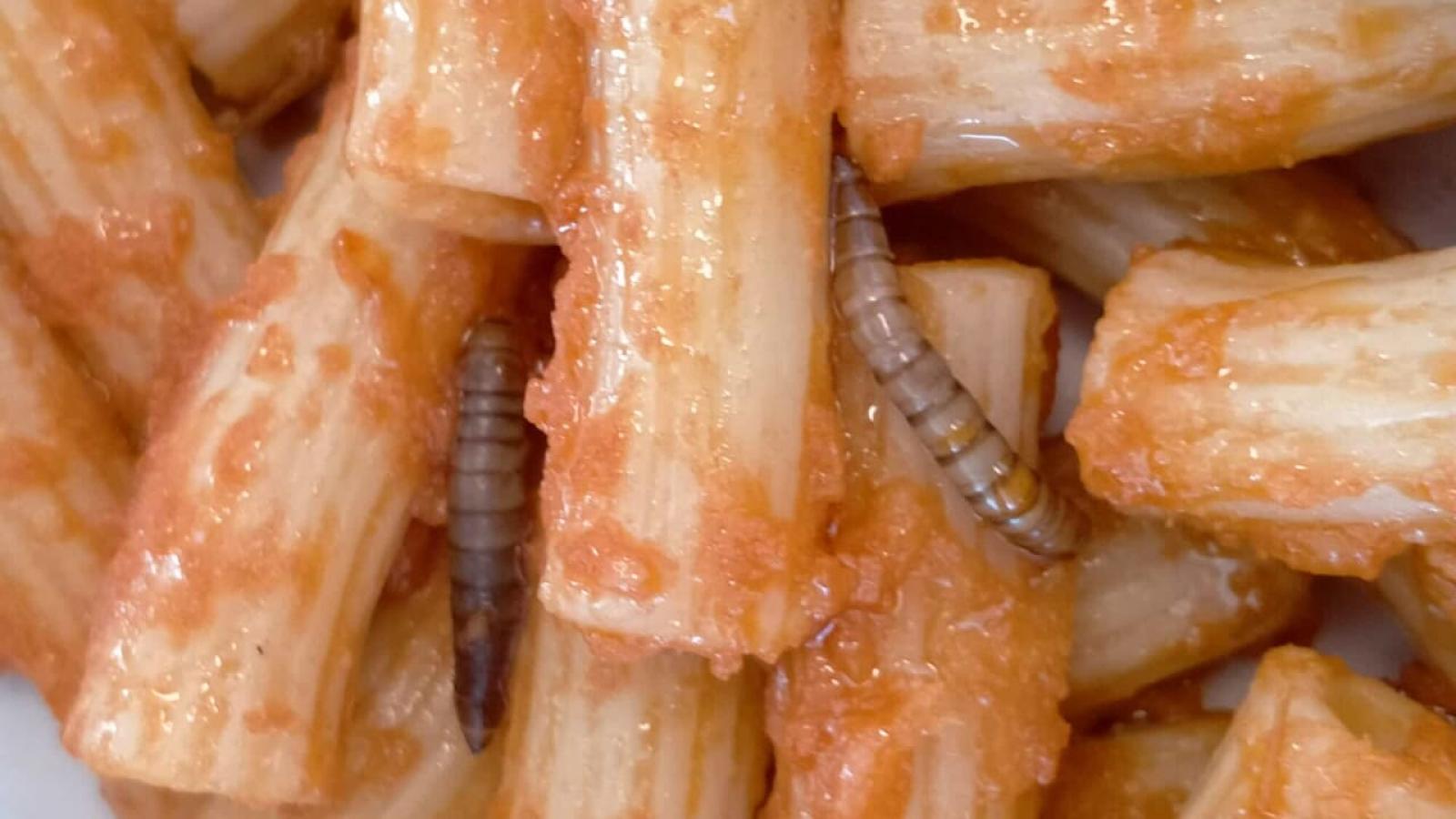 Sconcerto a Roncade: Larve nella Pasta Scolastica e la Tragedia sulla Alemagna