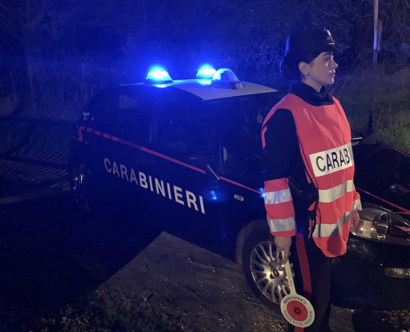 Non doveva stare a Castelnovo Bariano, portato via