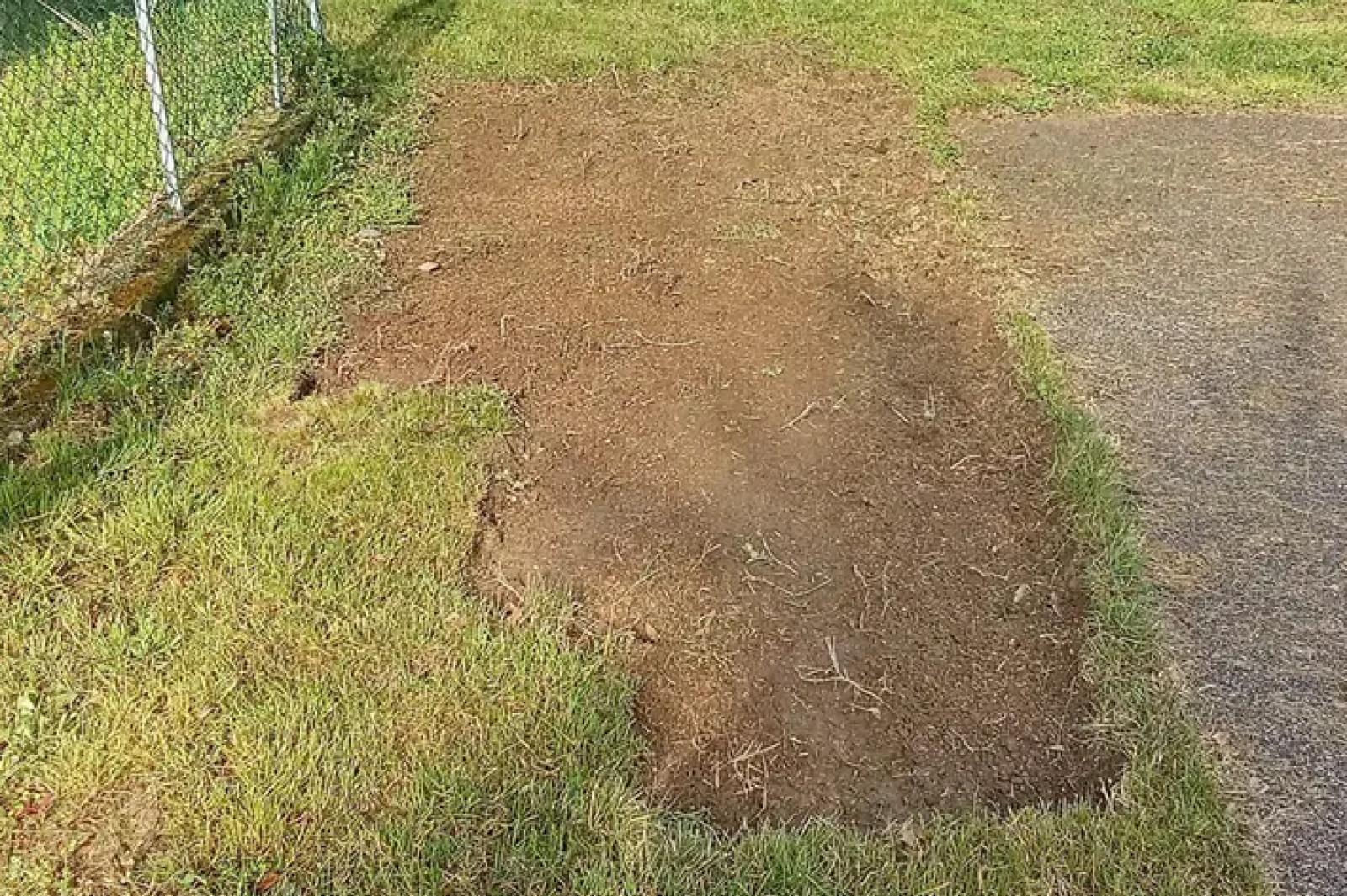 Furto di Erba a Sant&rsquo;Urbano: Un Paradosso Verde nel Cuore del Veneto