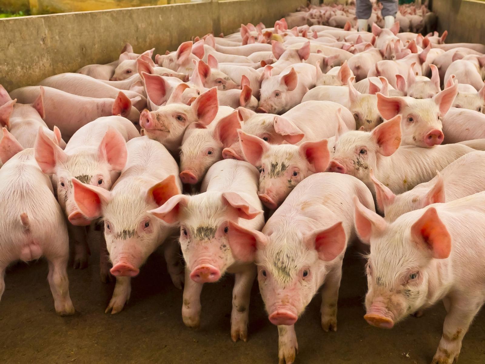 Critiche e preoccupazioni perla scelta di un istituto nel riminese