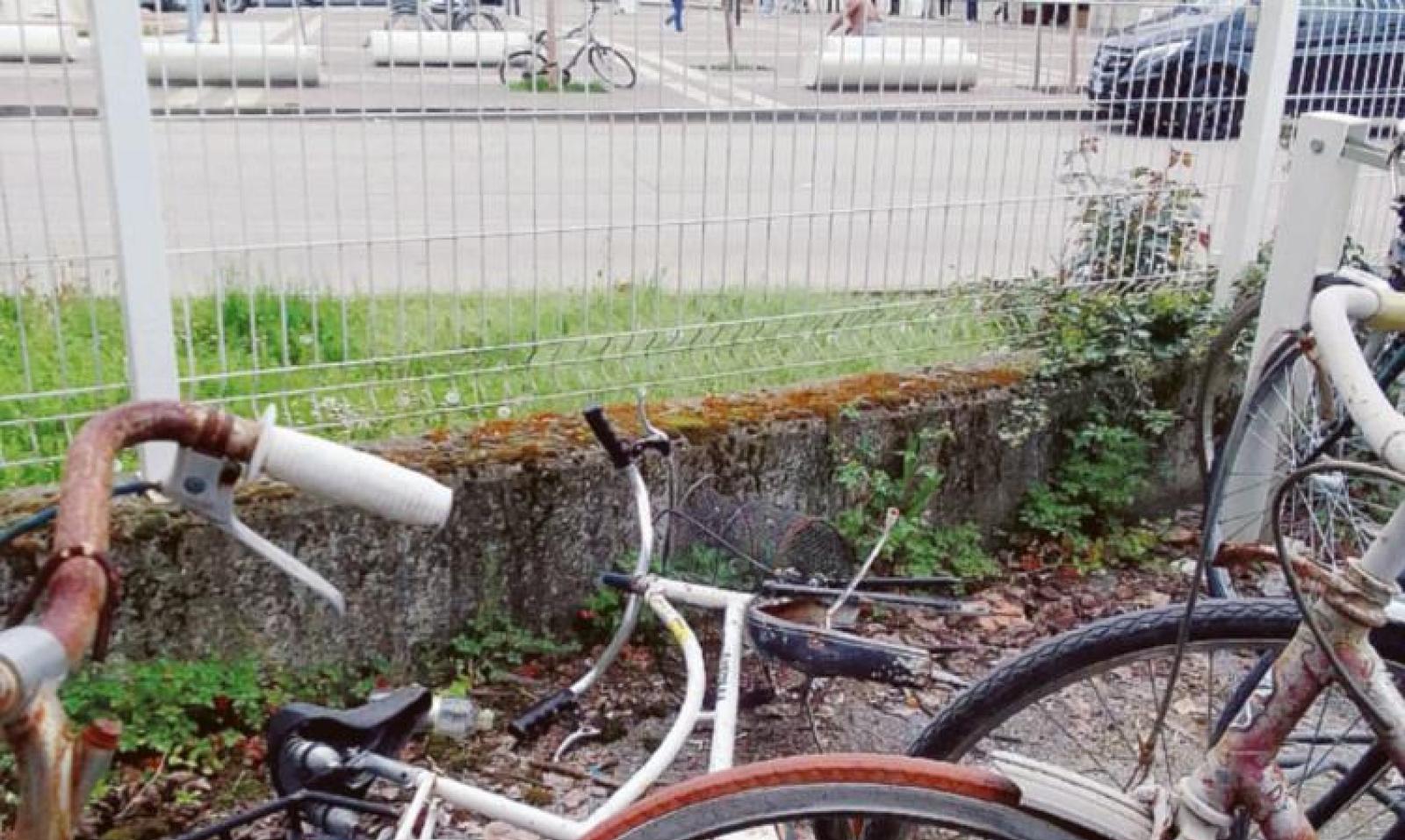 Scheletri di bici alla stazione