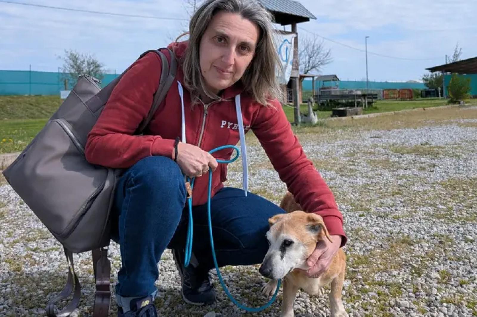 Stefano, il cane che ha trovato una nuova vita: una storia di speranza e adozione