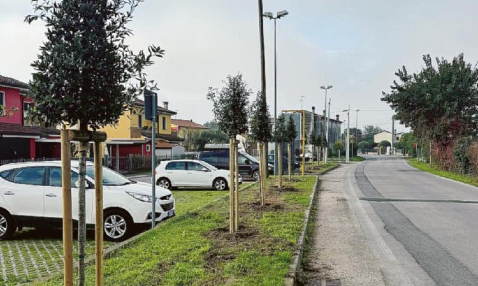 Si riasfalta via Munerati a Cantonazzo: lavori a costo zero per il Comune