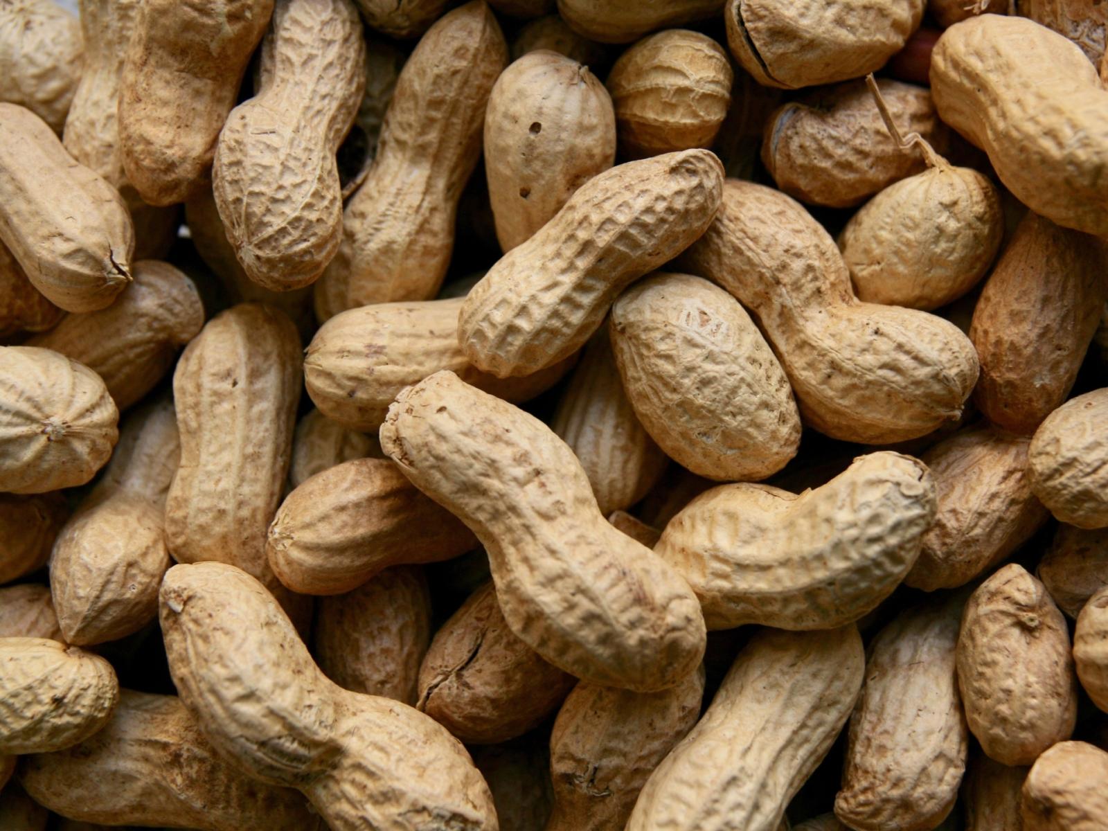 Le arachidi: un piccolo seme, un grande alleato per la salute