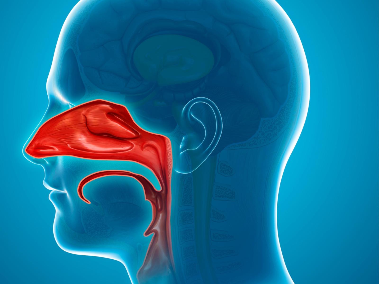 Nuove frontiere nella cura della poliposi nasale: la rivoluzione delle terapie biologiche