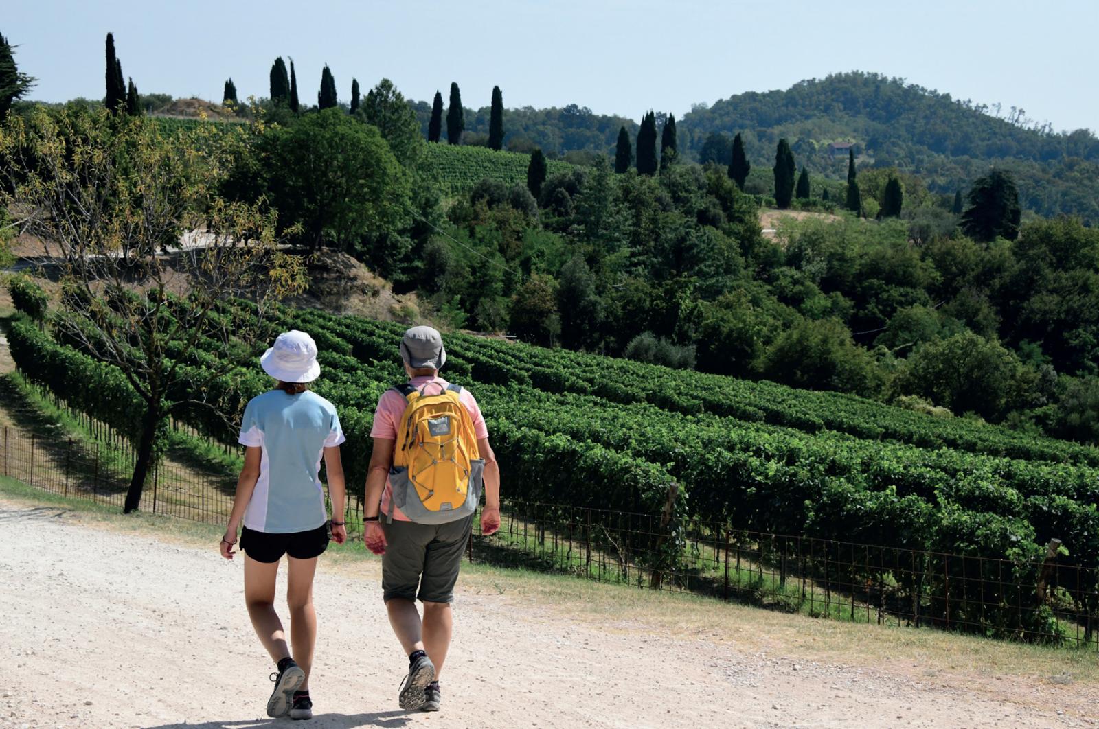 Il benessere a piedi nella natura