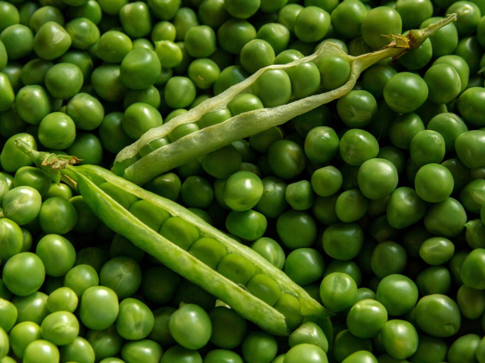 Bisi in Festa: un viaggio tra i sapori e le tradizioni del Veneto