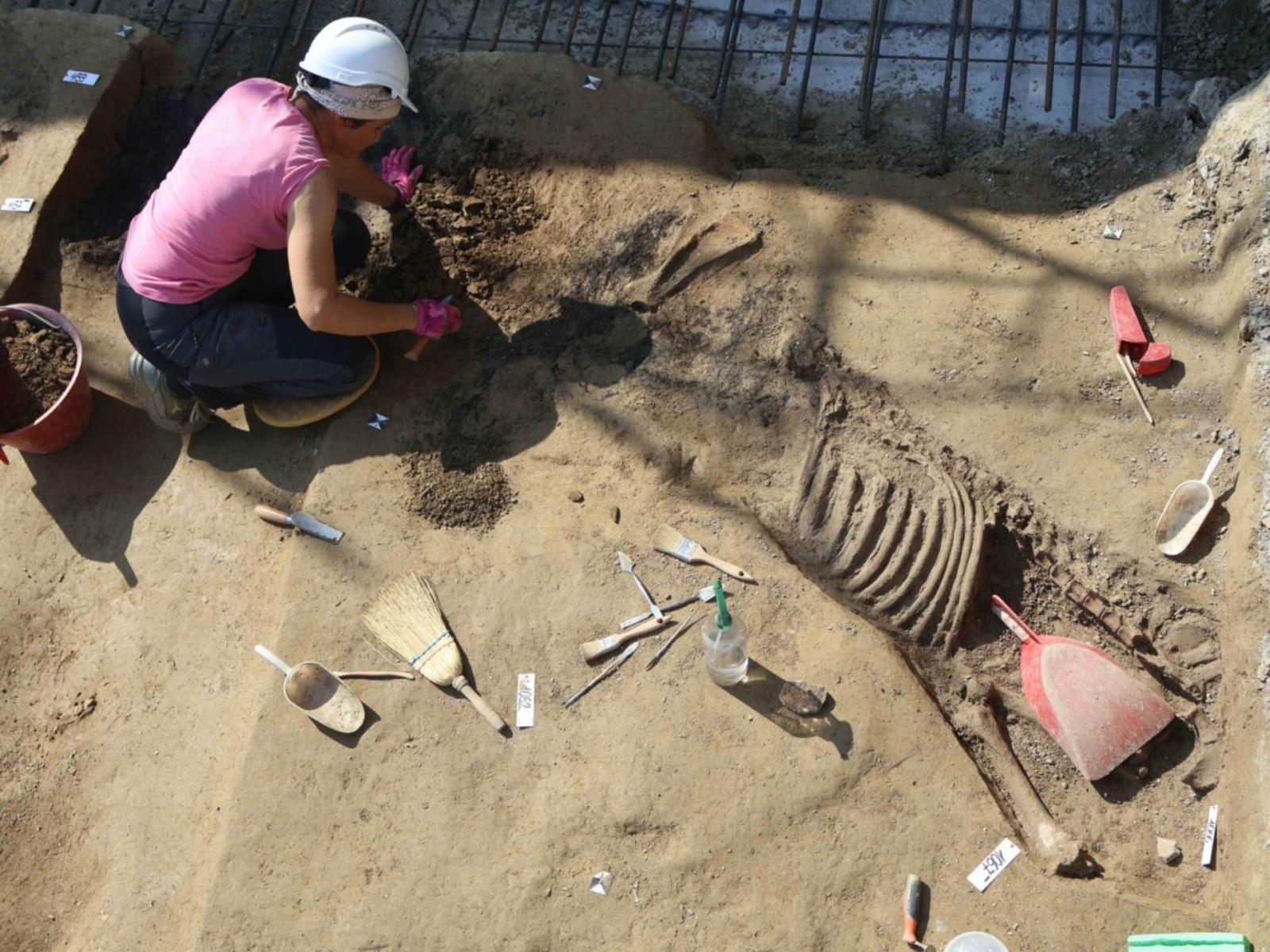 Necropoli emersa durante i lavori per uno studentato