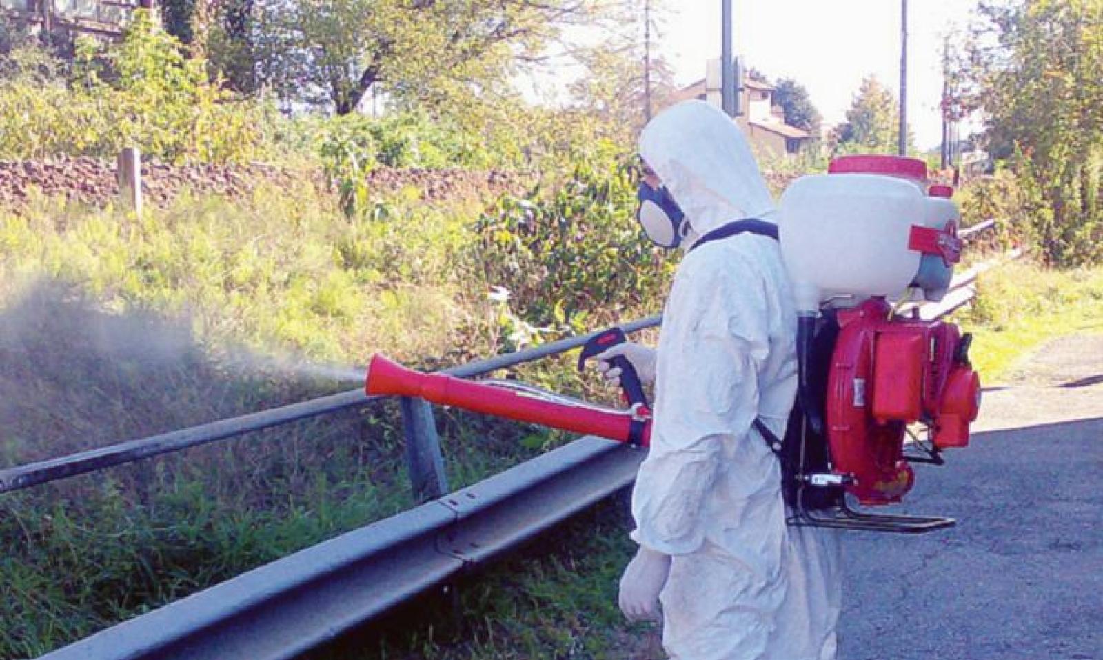 Pastiglie antizanzare a giugno