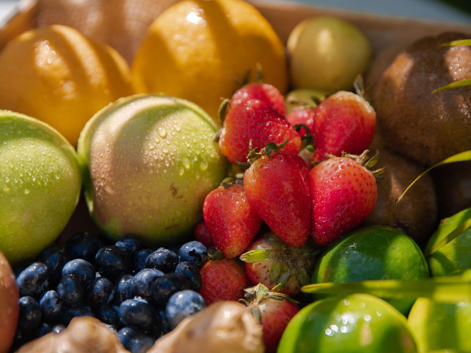 allarme salmonella: l'epidemia che minaccia la frutta estiva nel regno unito