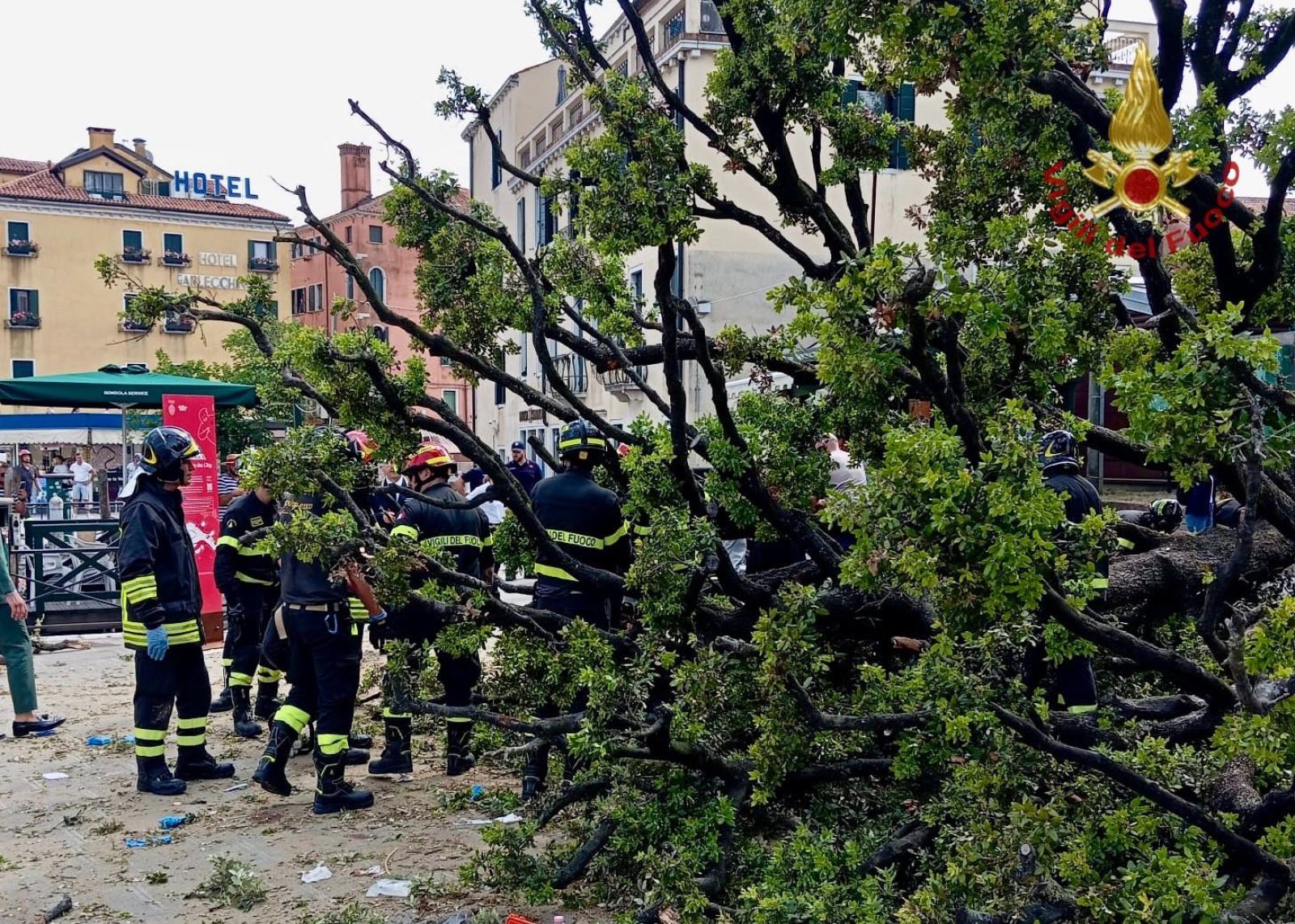 Tragedia sfiorata a Venezia: albero crolla su turisti 