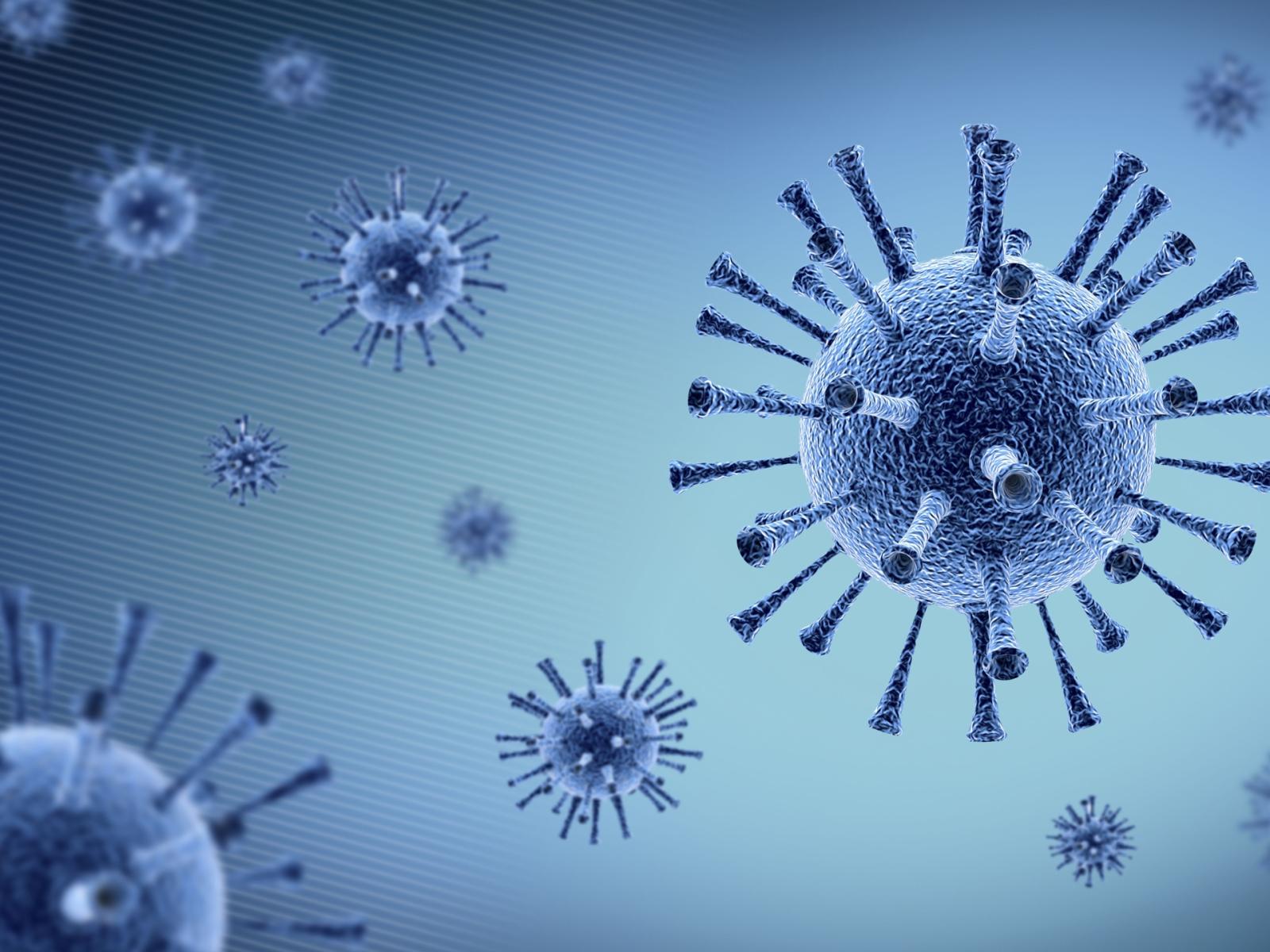 Nuovi virus nei pipistrelli cinesi: un allarme globale per la salute pubblica