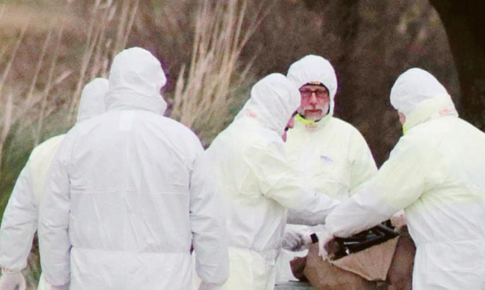 Zanzare infette, domani il test