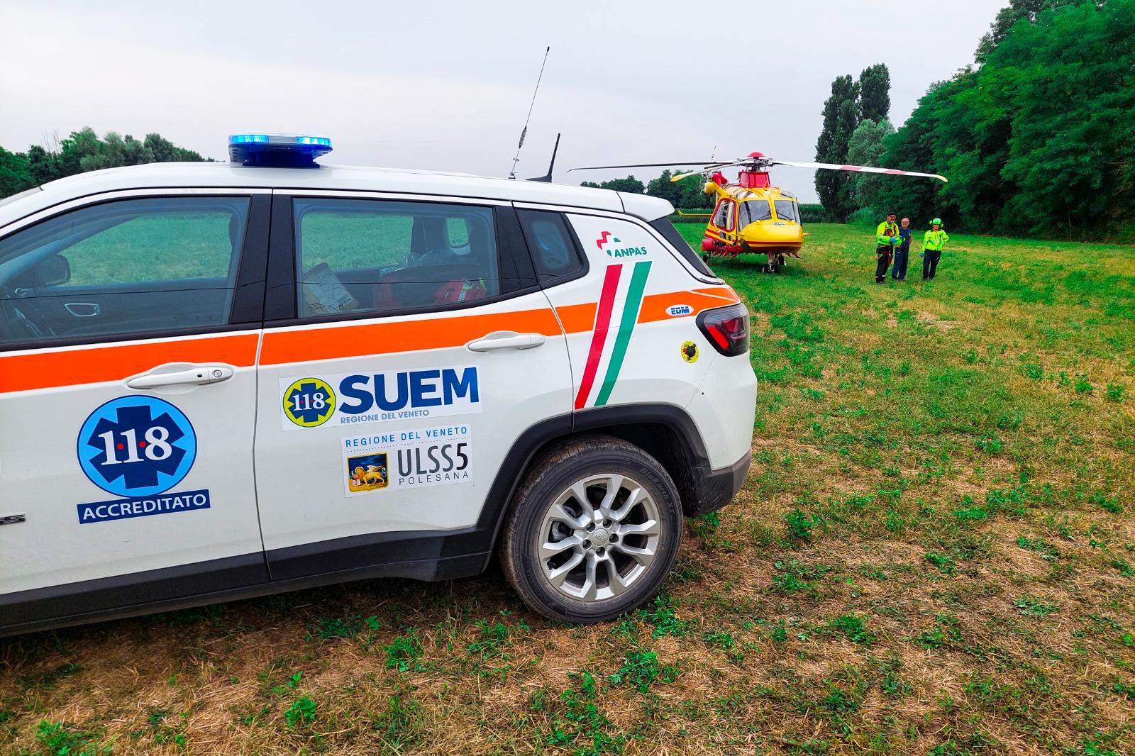 Centra un albero nel circuito d'enduro