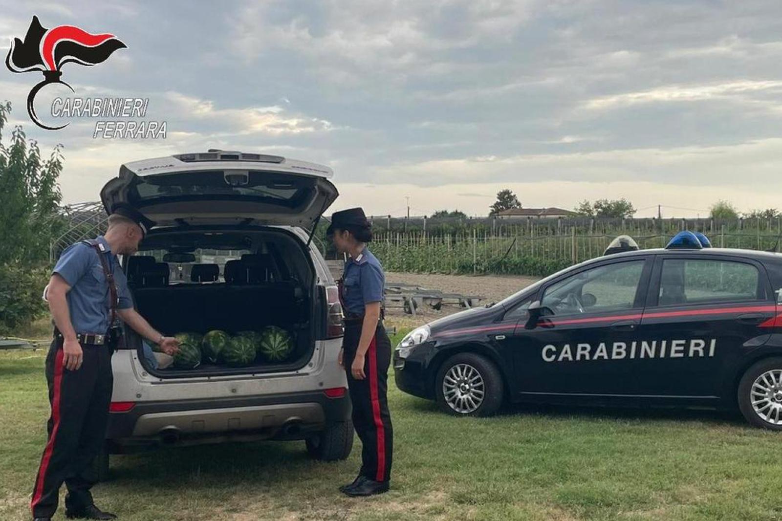 Rubano angurie a Coccanile: arrestati due uomini in flagranza di reato