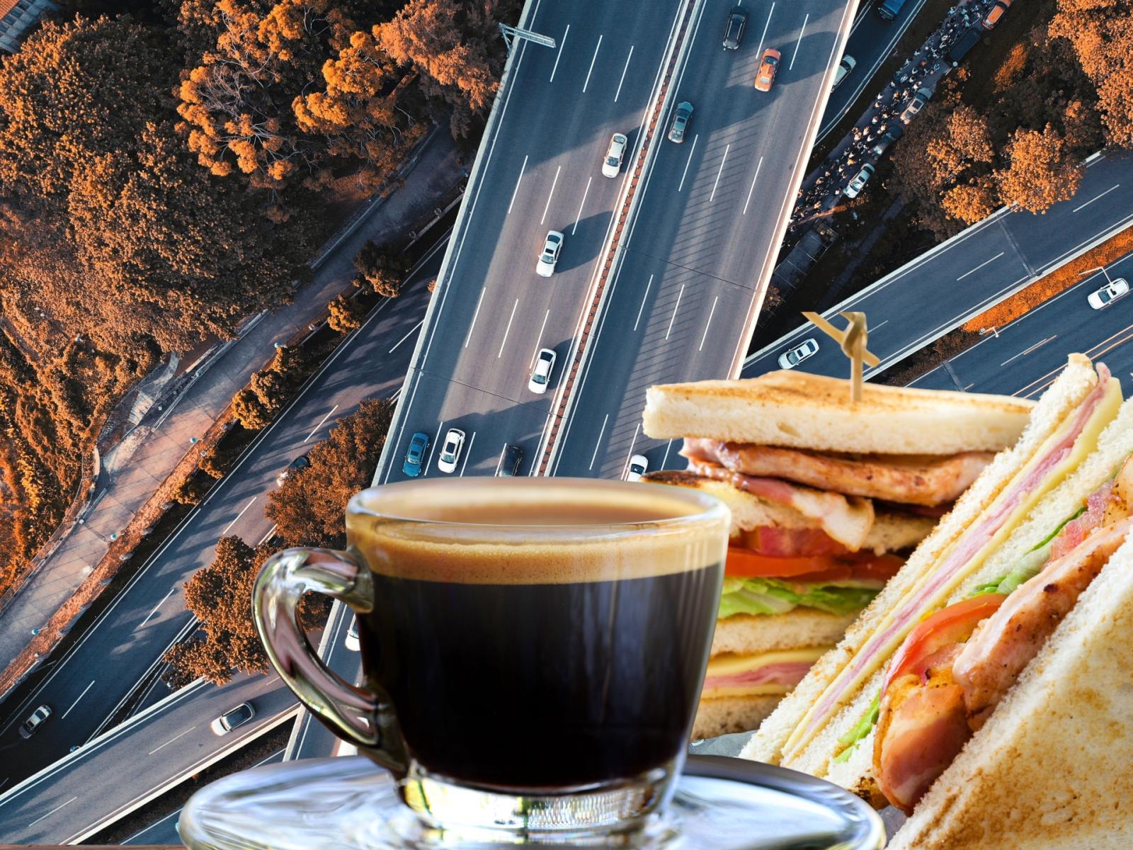 Autogrill: i rincari dell'estate 2025 tra panini e bevande