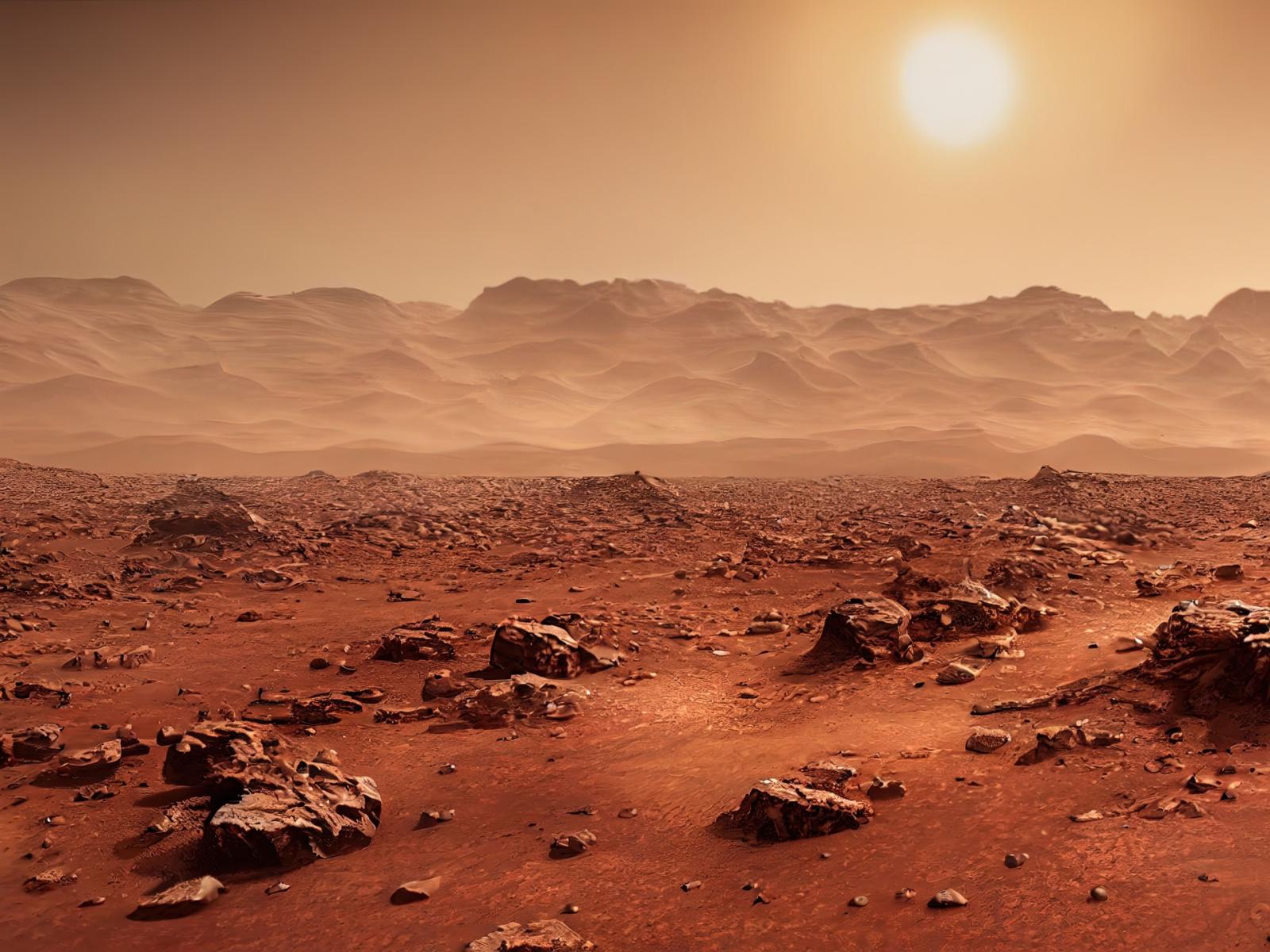 Una roccia marziana da record: venduta all'asta per milioni di euro