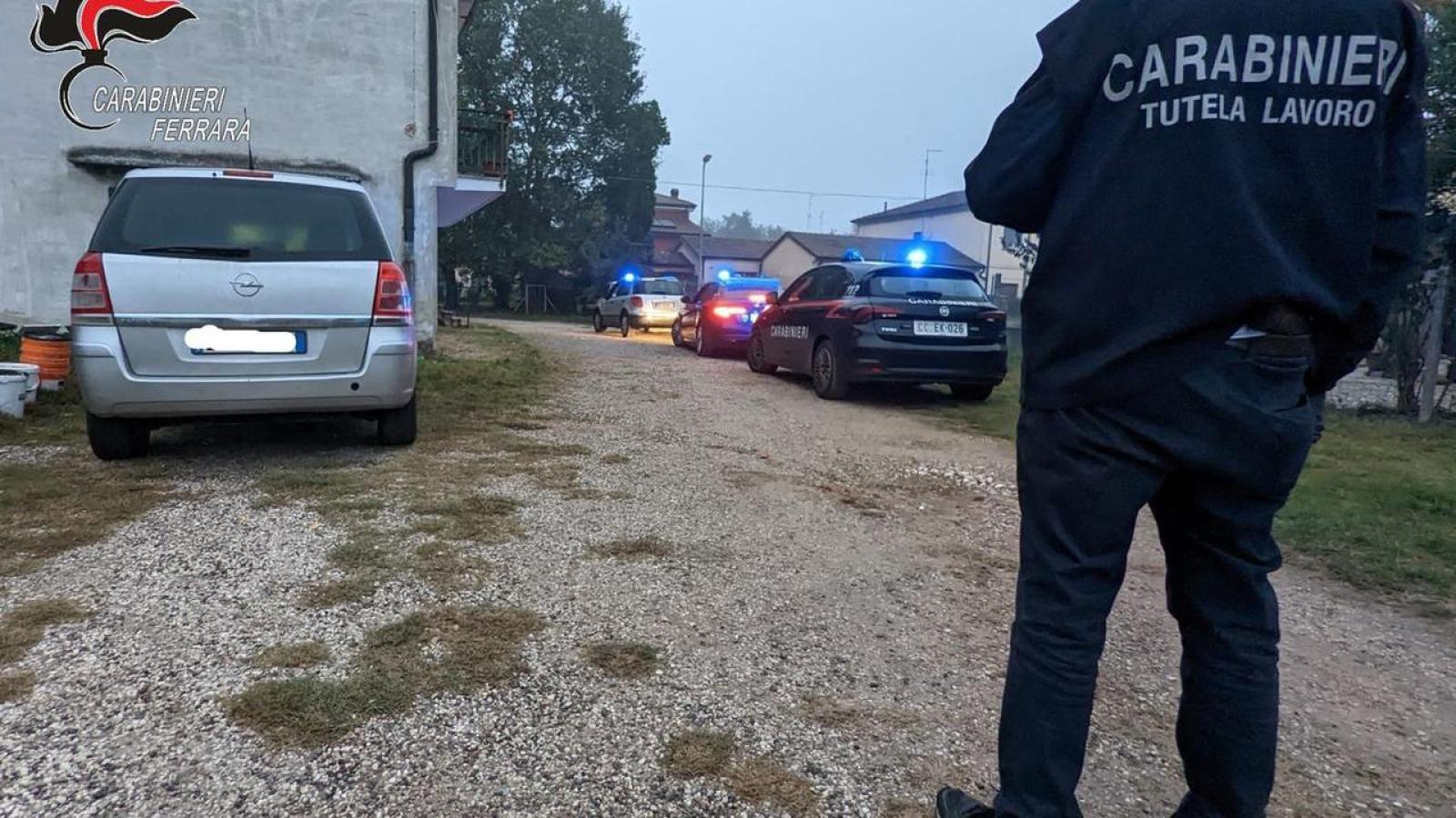 Schiavit&ugrave; moderna nei campi: la ribellione che ha smascherato il caporalato nel Ferrarese