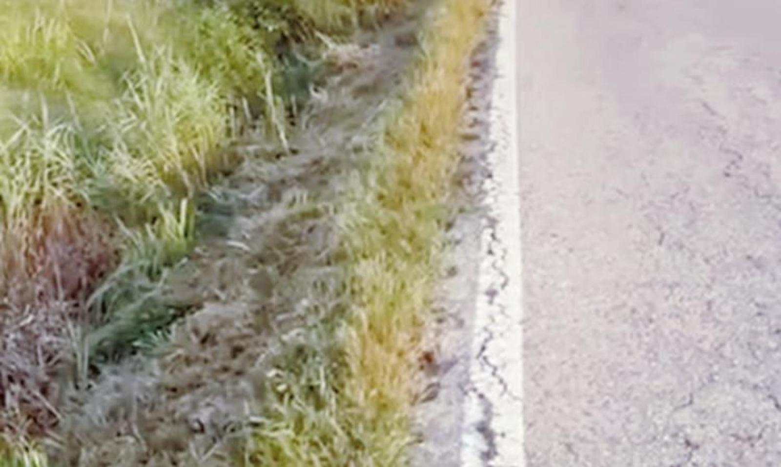 Sfalcio fai da te di 10 chilometri