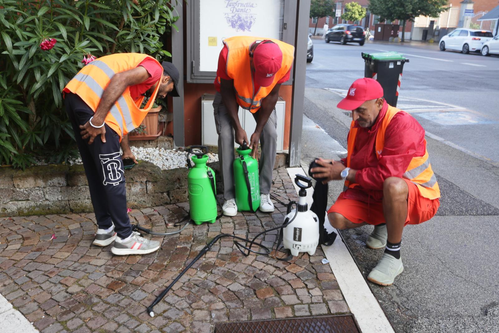 Virus Chikungunya, si disinfesta a tappeto