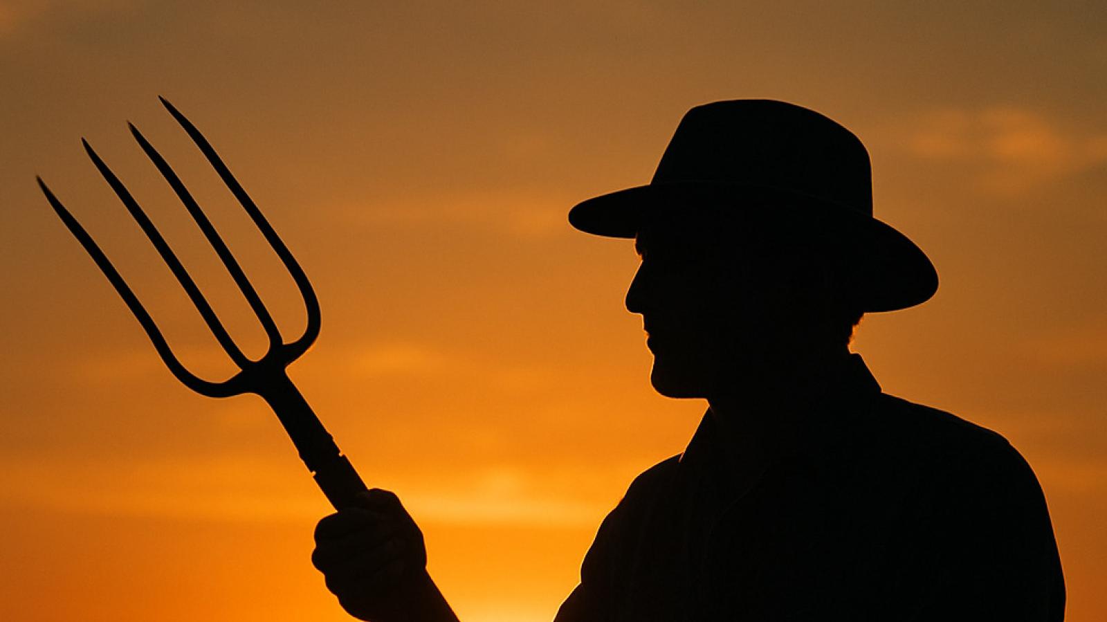 Minacce con un forcone: tensione tra vicini a Brugine