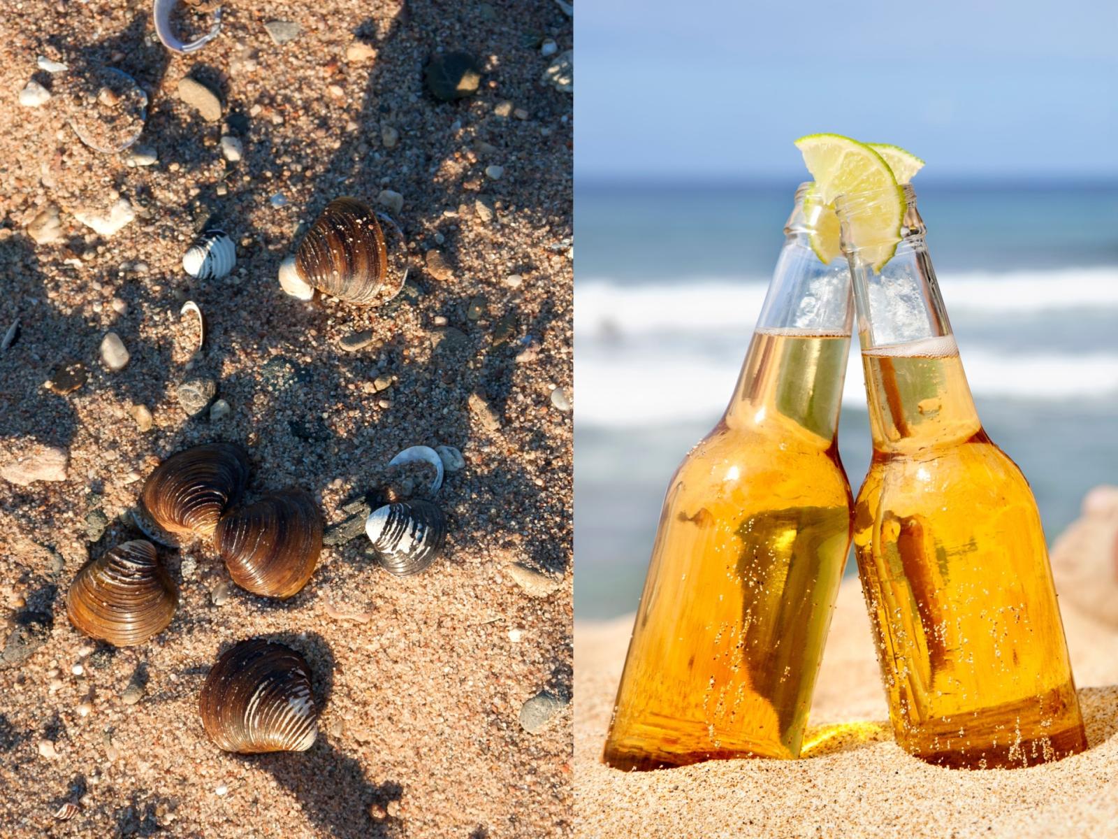 Ferragosto con la multa in valigia: l&rsquo;Europa dice basta ai turisti maleducati