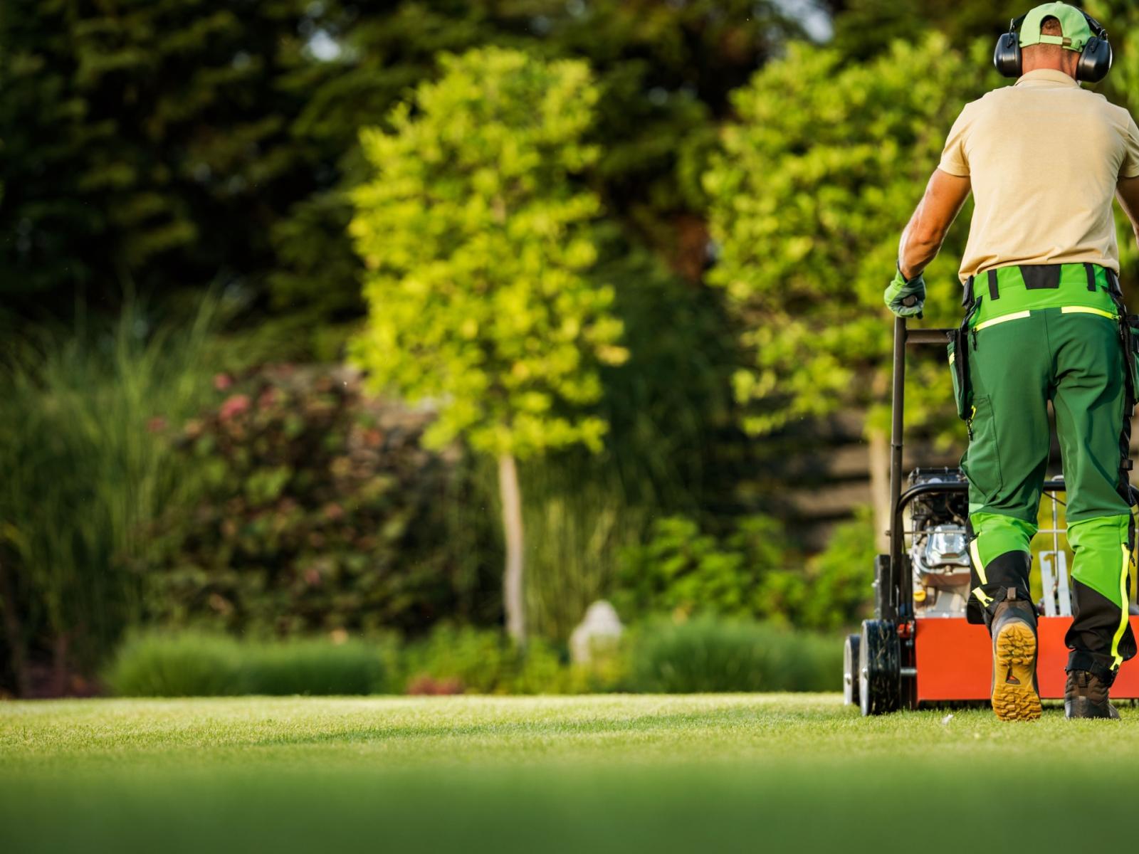 Prodotti per il prato e animali domestici: il verde che pu&ograve; far male