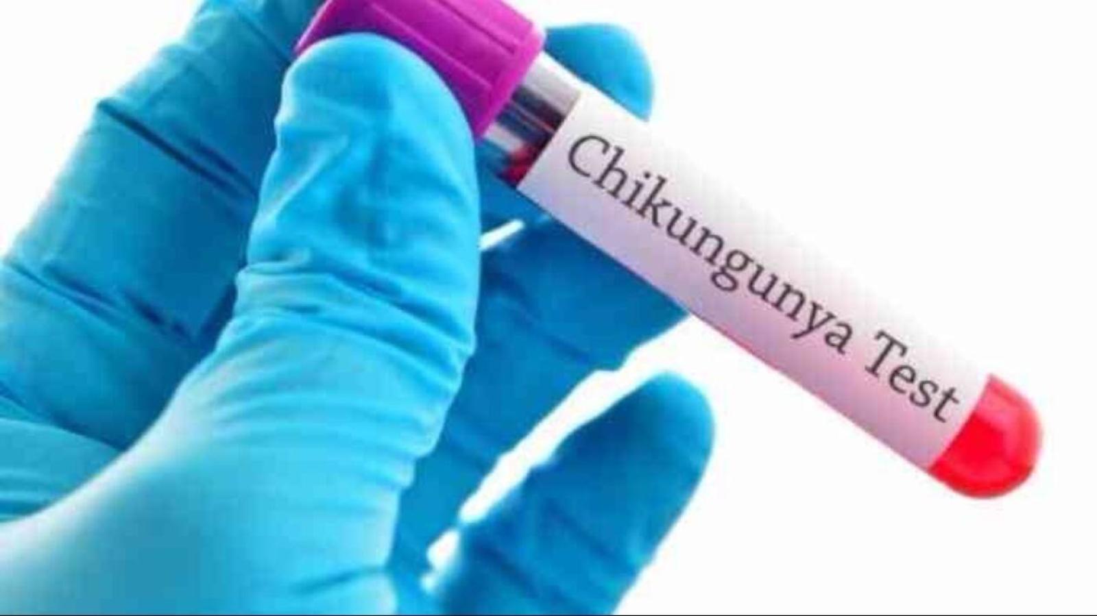 , terzo caso autoctono nel Veronese: 69enne di Verona. Disinfestazioni mirate tra citt&agrave; e Negrar