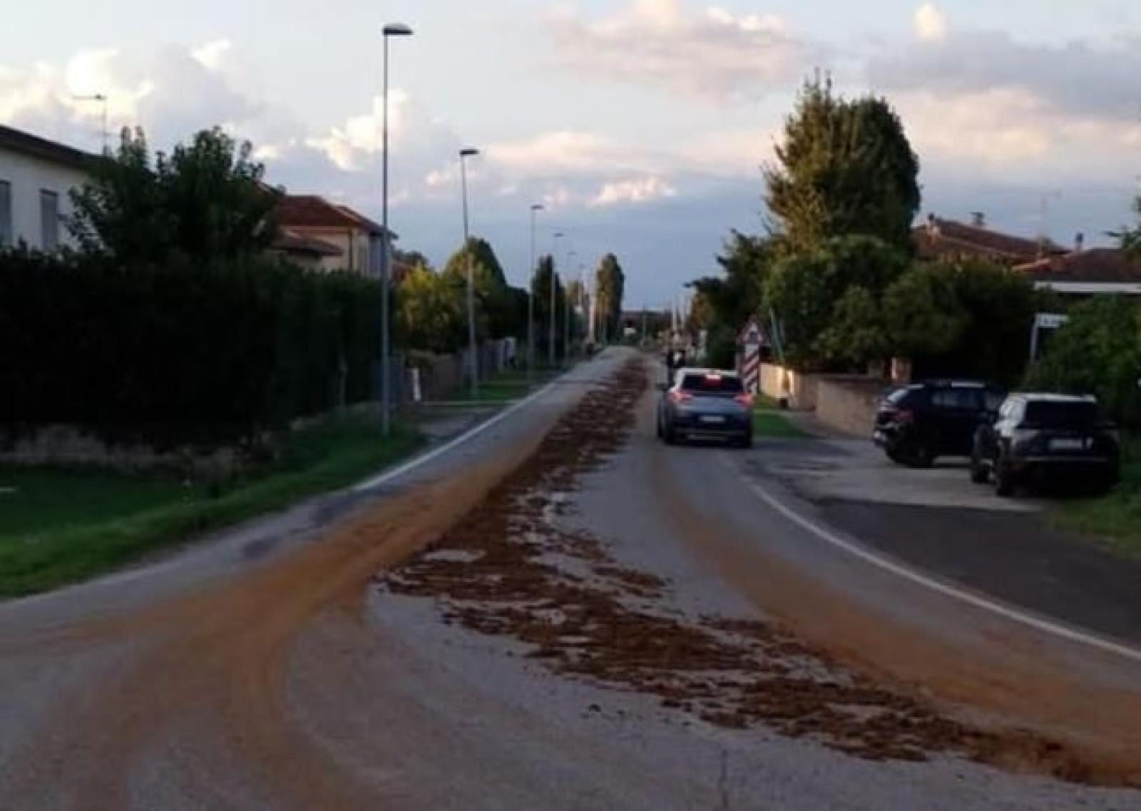 Camion perde escrementi: chiusa la strada