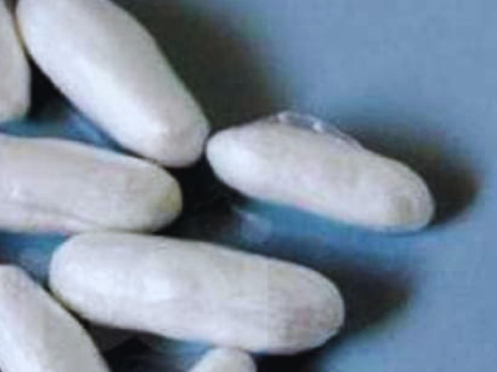 Treviso, pedinato tra stazione e centro: ingoia gli ovuli. Scarcerato con divieto di dimora in Veneto