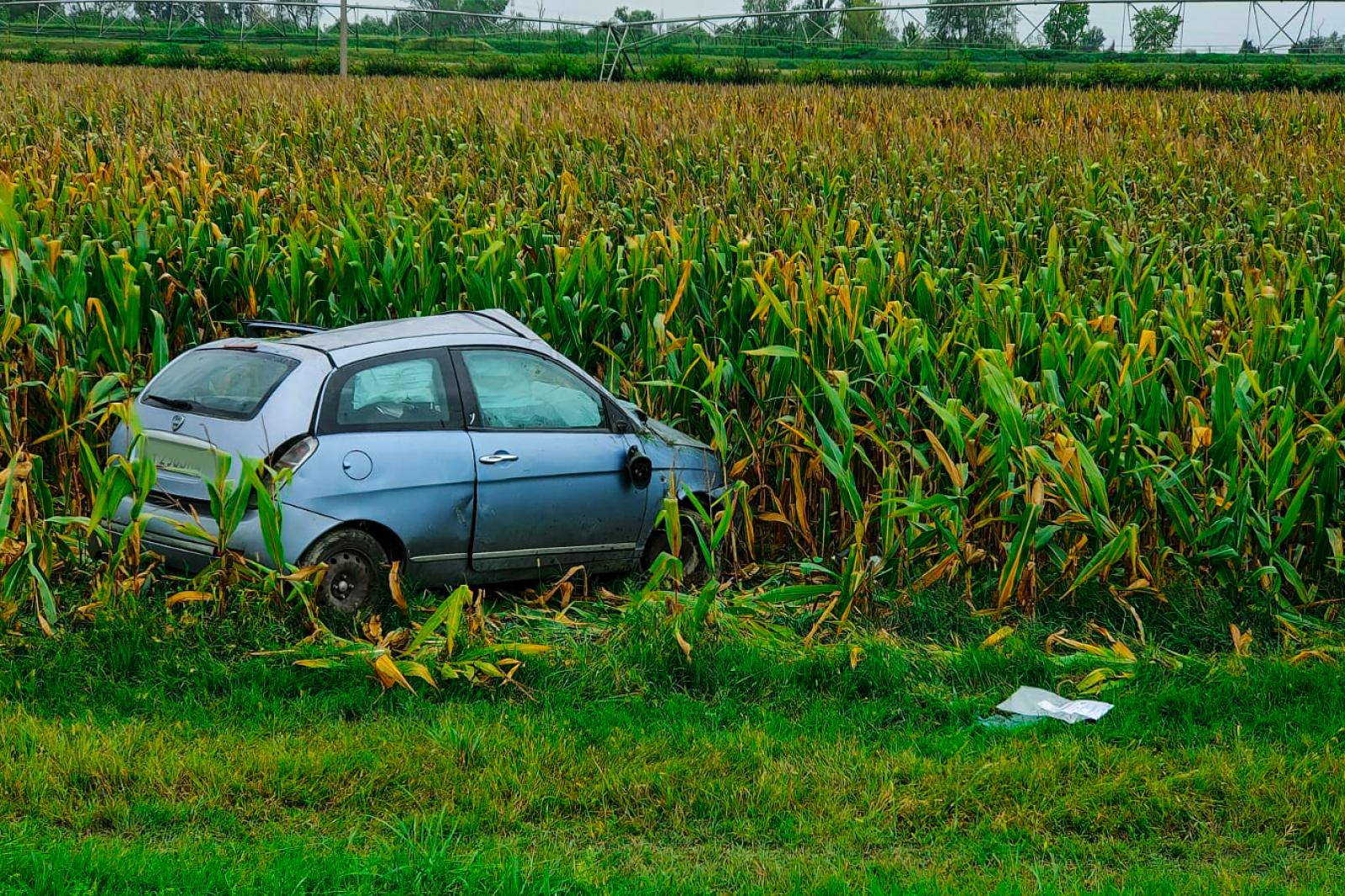 Si ribalta nel campo: ferita