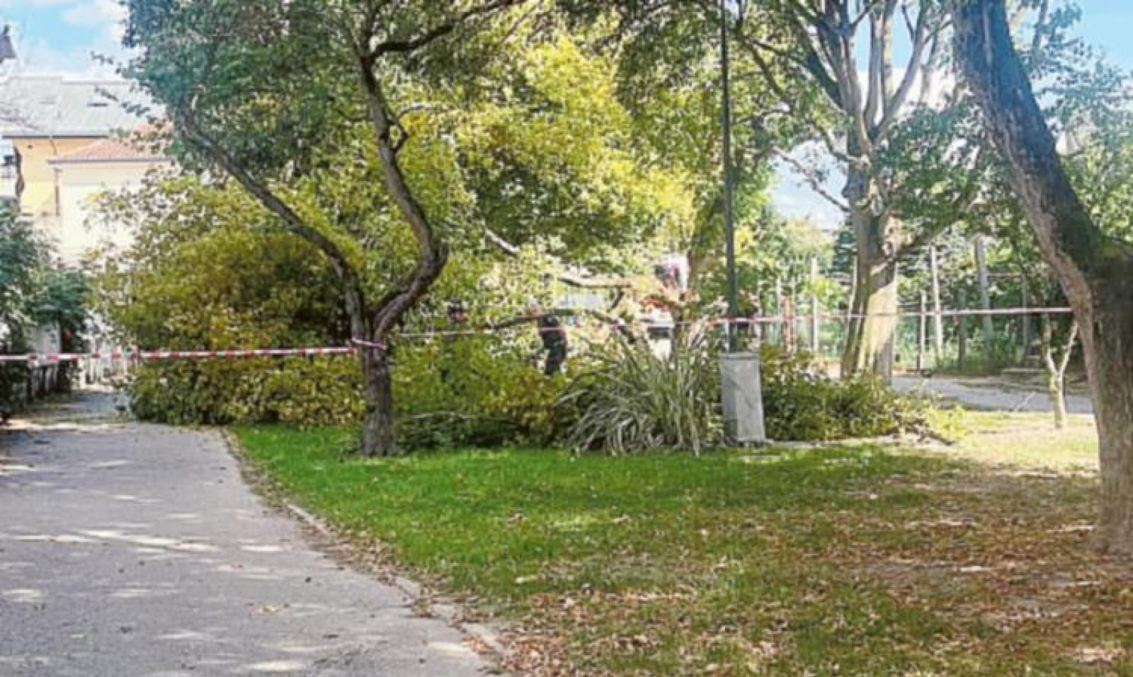 E&rsquo; venuto gi&ugrave; un albero in ciclabile