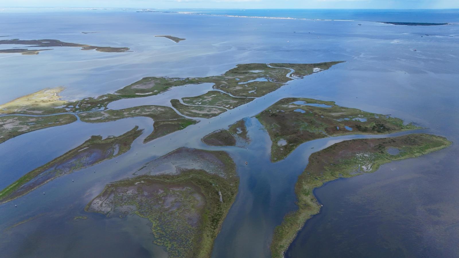 Il Veneto guida in Europa la sfida per la tutela del Mare Adriatico 