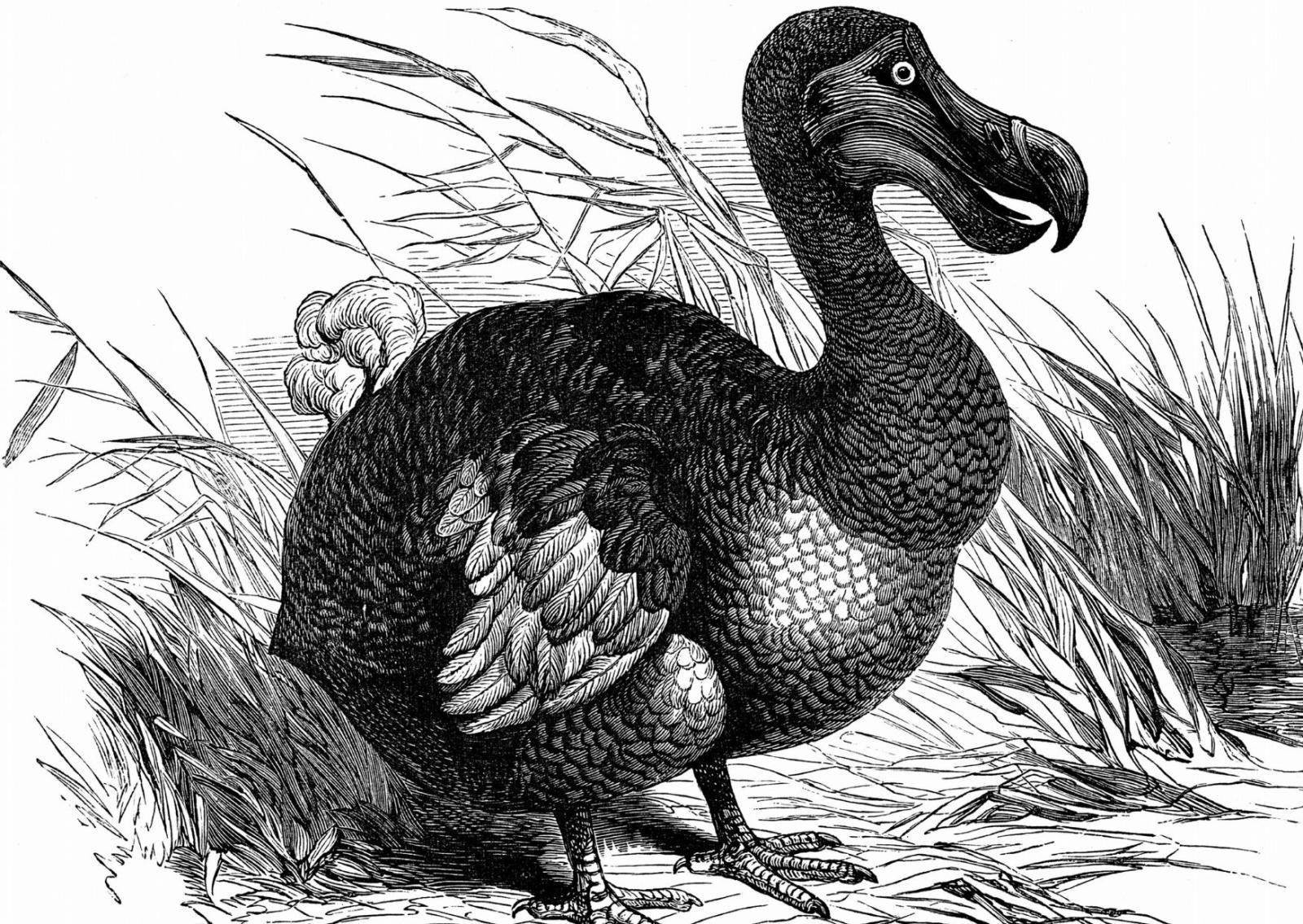 L&rsquo;azienda texana dice di aver raggiunto un risultato chiave