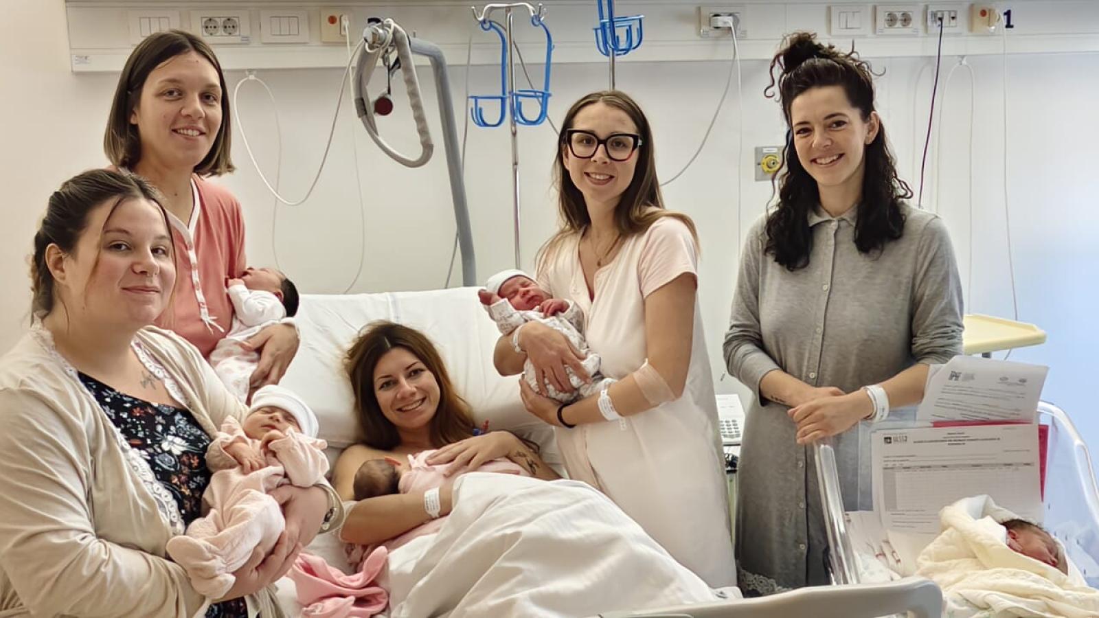 Sette nascite in 12 ore!