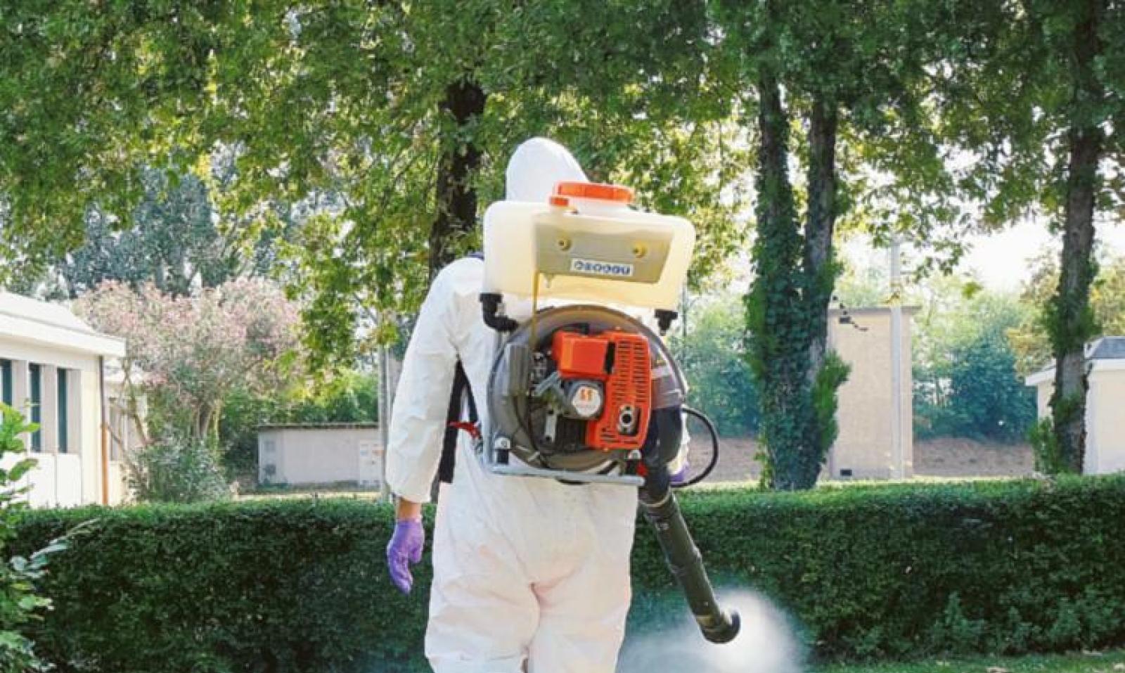 Strage di zanzare all&rsquo;asilo