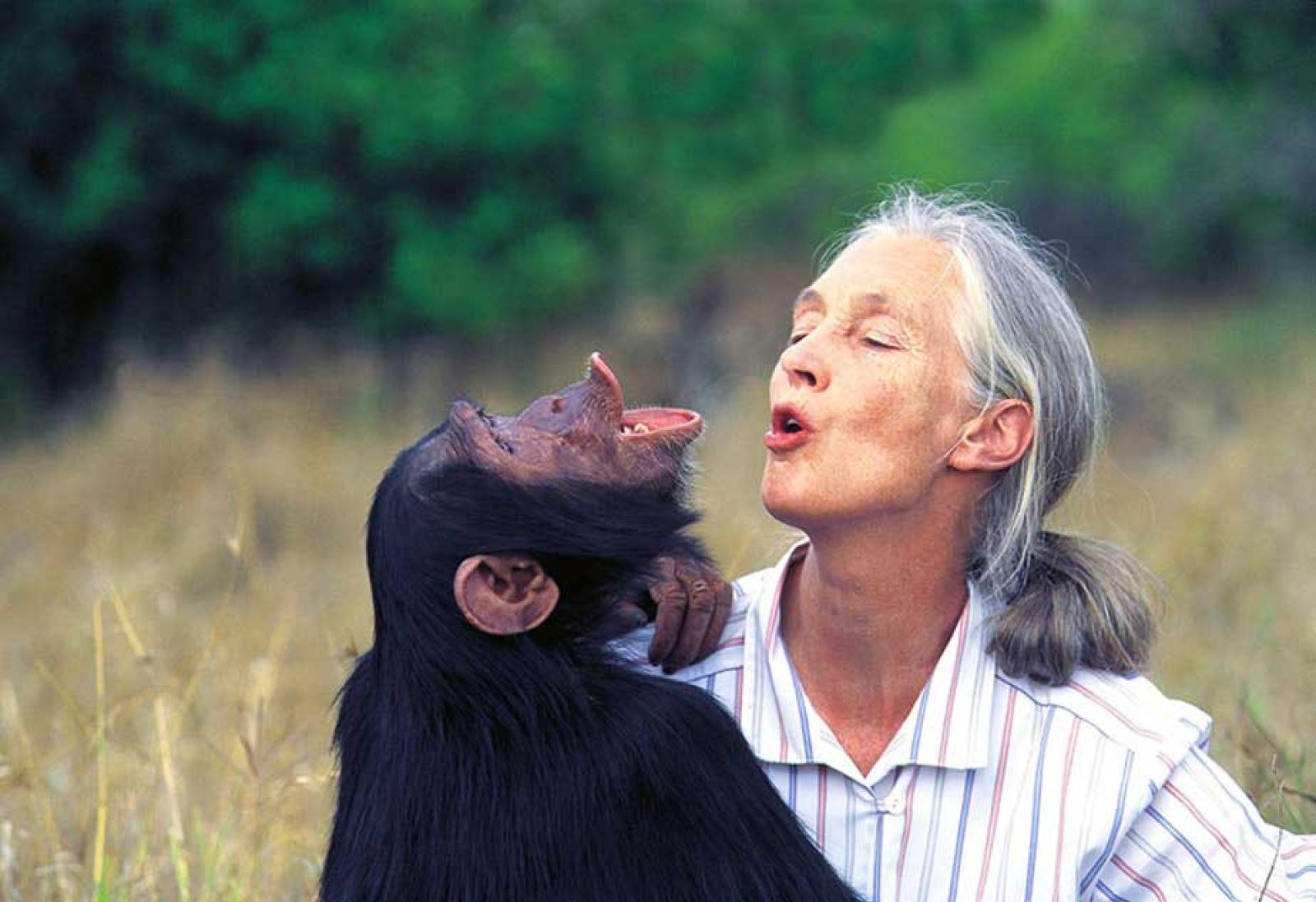 Addio a Jane Goodall