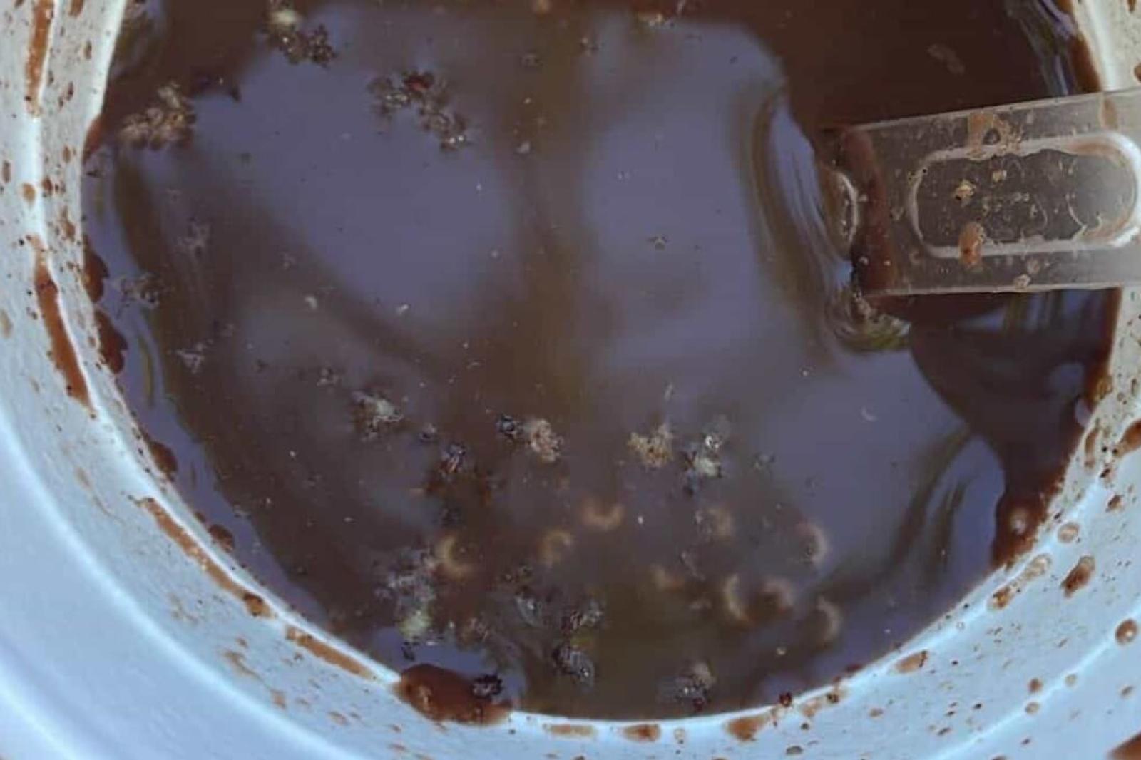 Larve nella cioccolata calda, arrivano i carabinieri