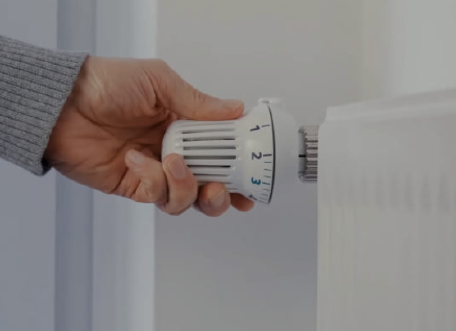 Accensione dei termosifoni