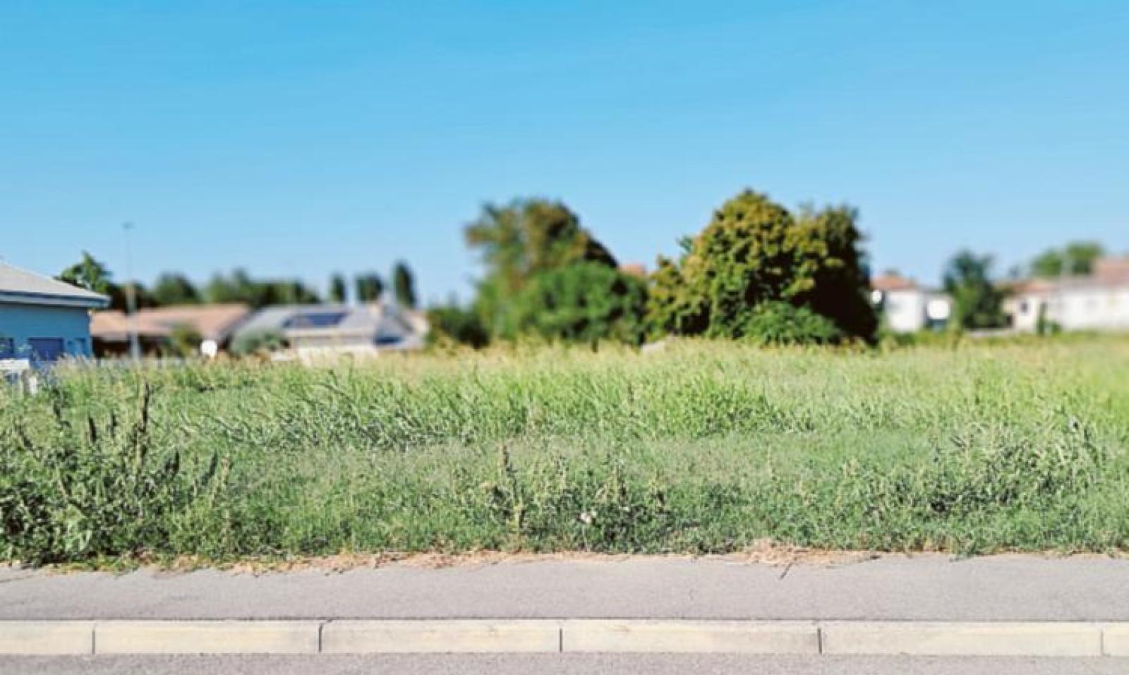 &ldquo;Un servizio di vigilanza in tempo reale per il rispetto del decoro&rdquo;