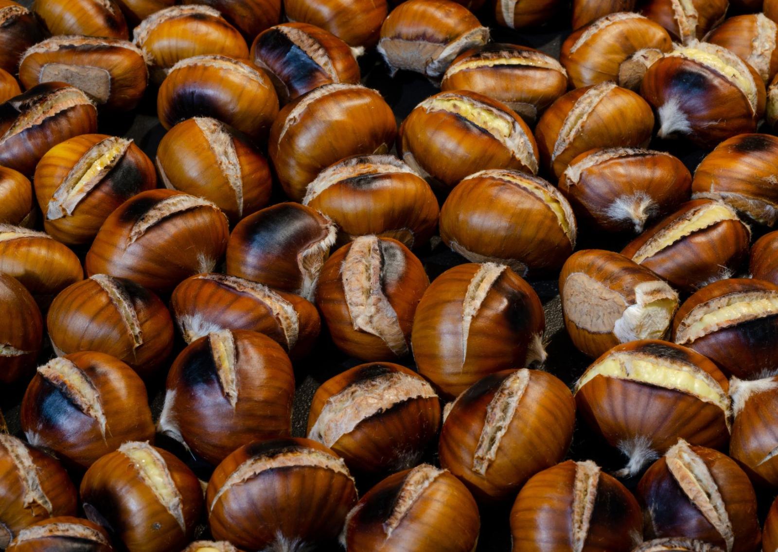 E' tempo di castagne, il dictat regionale